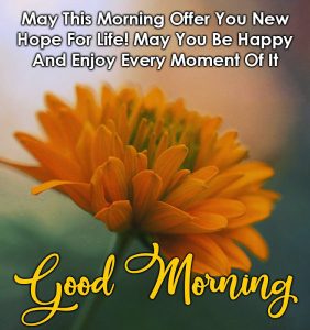 1265+ Royal Good Morning Images Download for Mobile Phone User