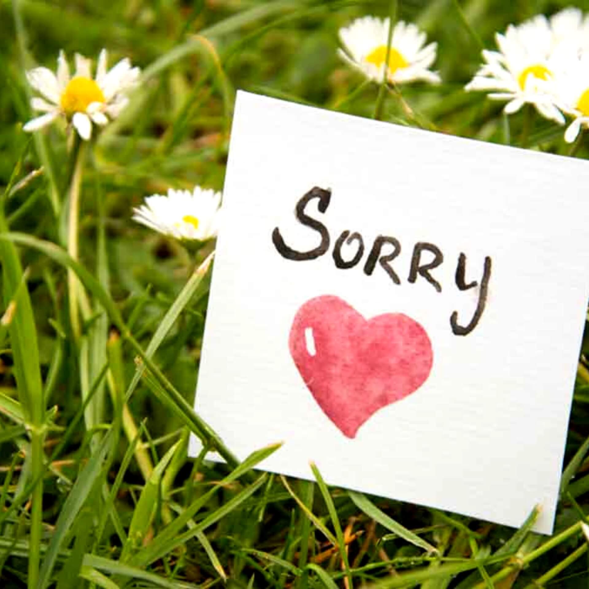 Sorry Pics images Free Download