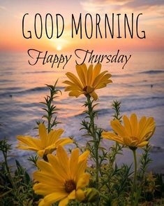 Thursday Good Morning Images Wallpaper With Flower
