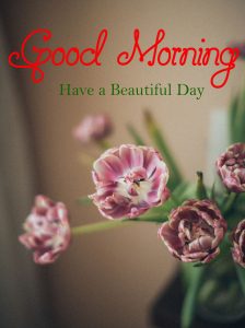 Top Beautiful Good Morning Images photo pics