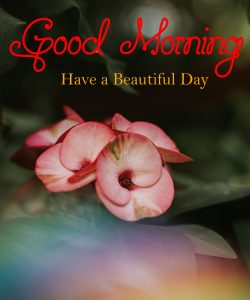 Top Beautiful Good Morning Images photo wallpaper