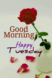 Tuesday Good Morning Wishes Wallpaper