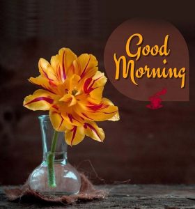With Flower Good Morning Images Pics Download