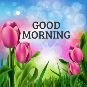 With Flower Good Morning Wishes Images Pic Download