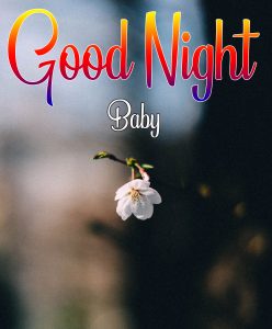 single Best Good Night Images wallpaper download