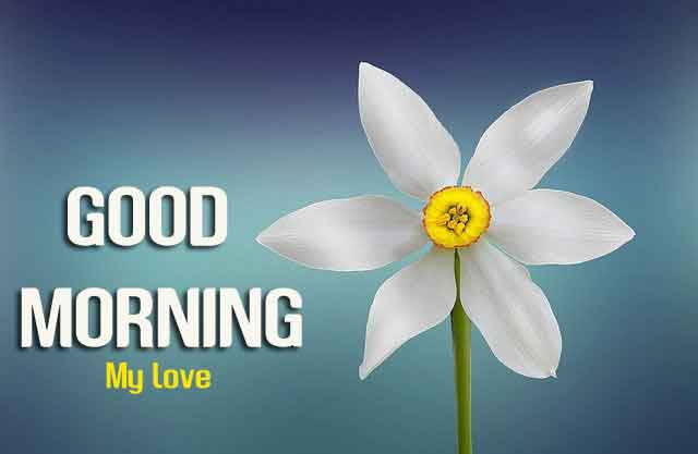 1288+ Good Morning Images Download For Whatsapp {Daily Update}