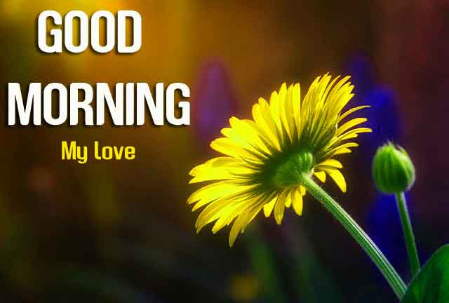 6815+ Good Morning Images with English Thought photo Download
