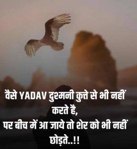 Hindi Nice Yadav Ji Whatsapp Dp Profile Images photo