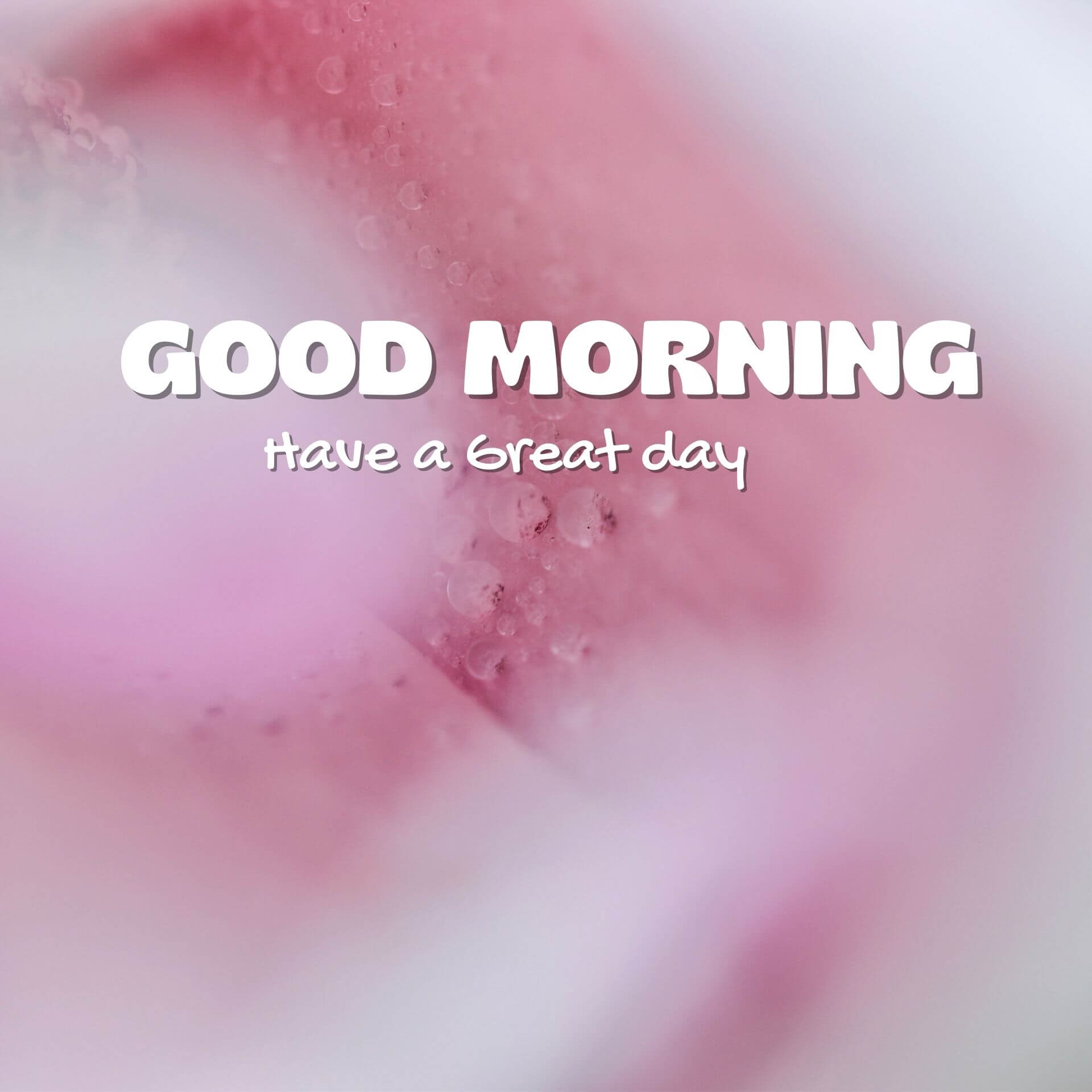 4k Ultra HD Good Morning Wallpaper Free Download