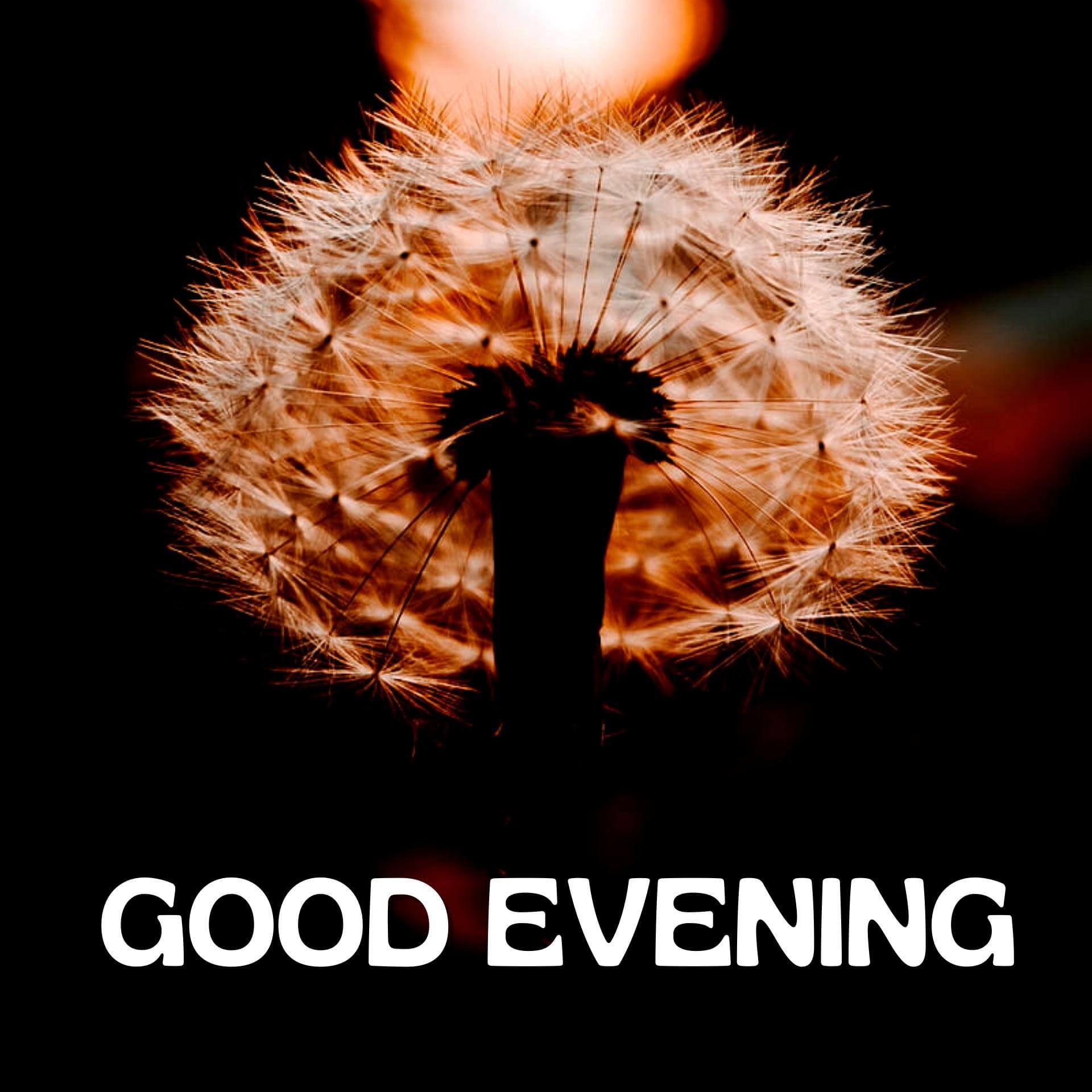 Beautiful good Evening Images Wallpaper Download