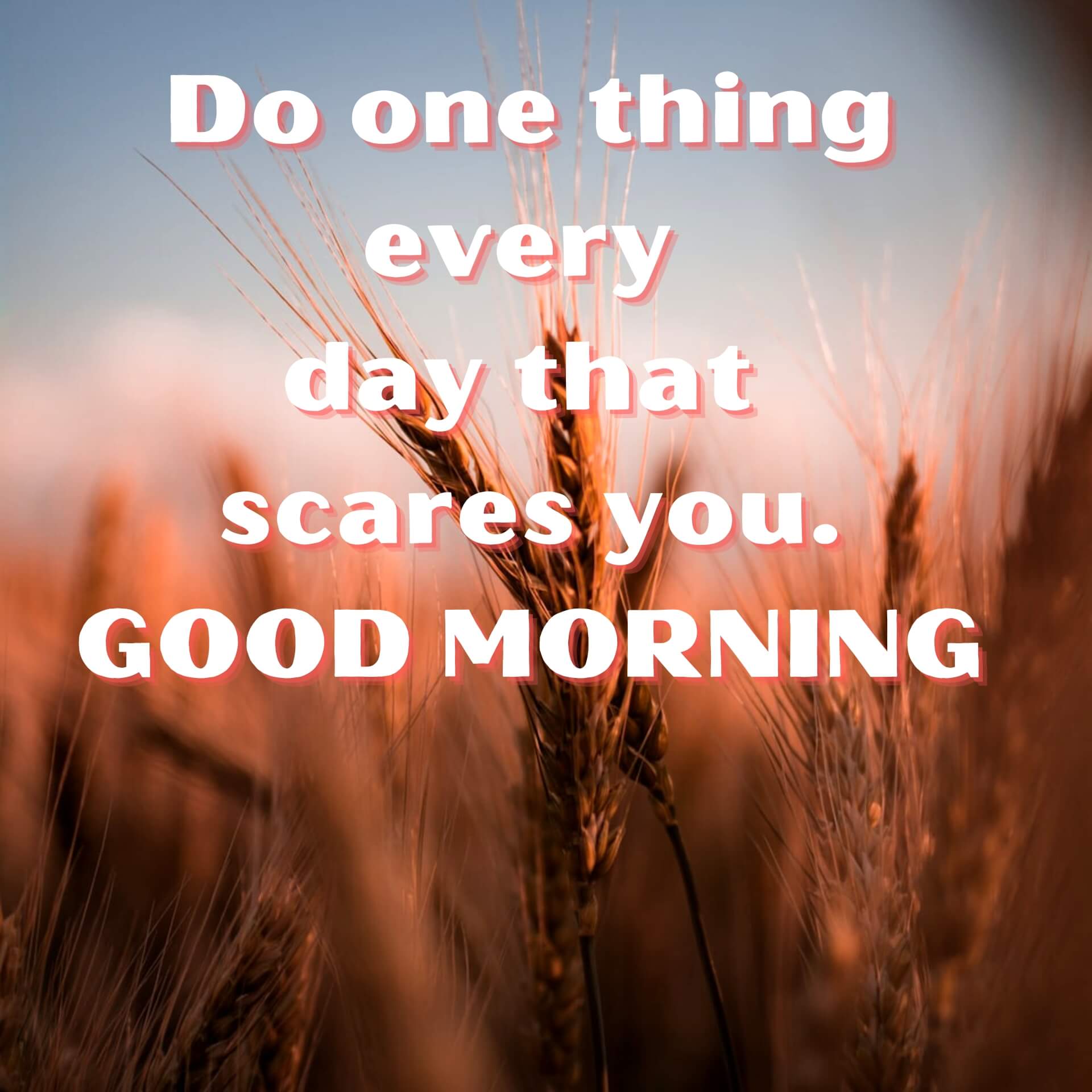 Englsih Quotes Good Morning Photo New Download