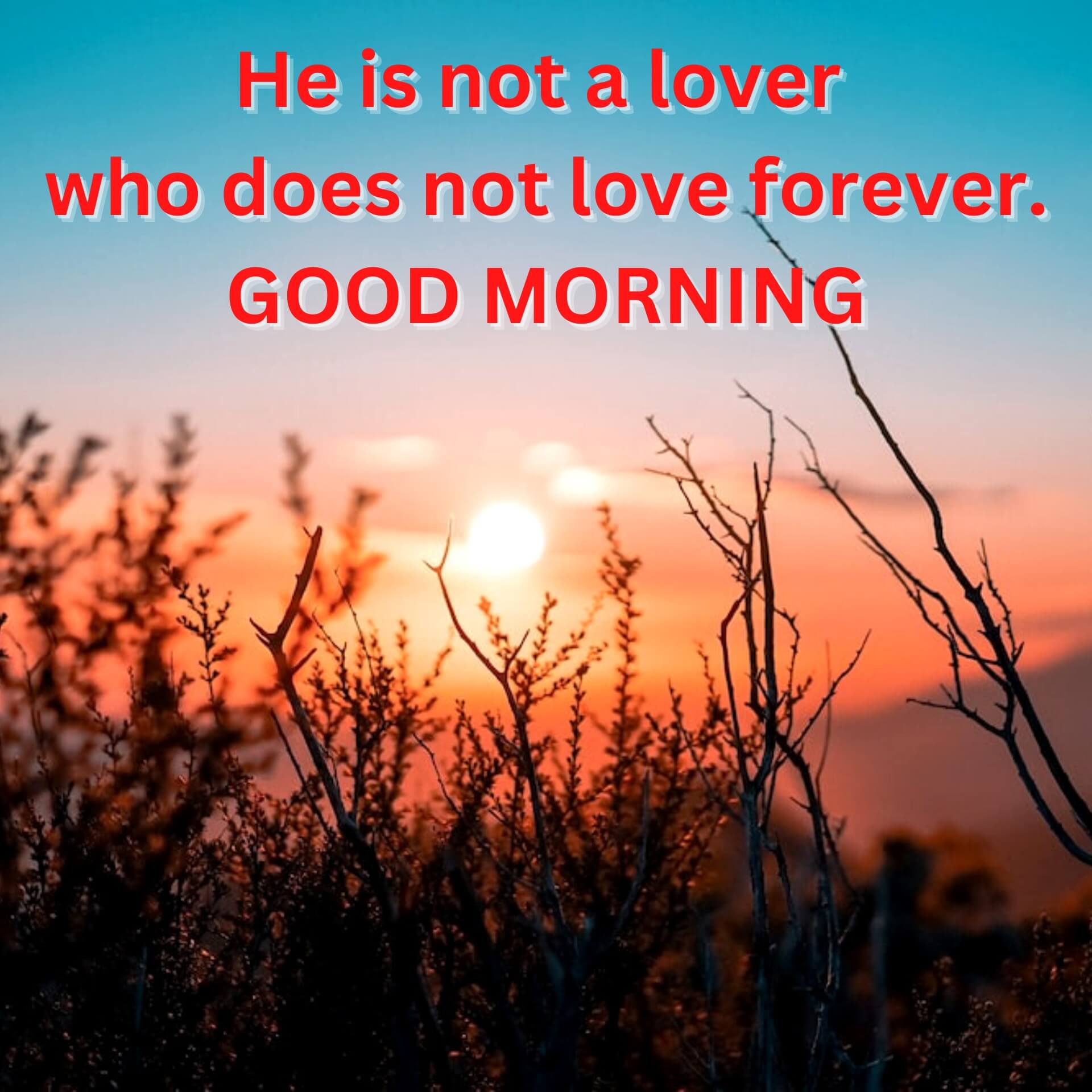 Englsih Quotes Good Morning Wallpaper Free Download Free New HD