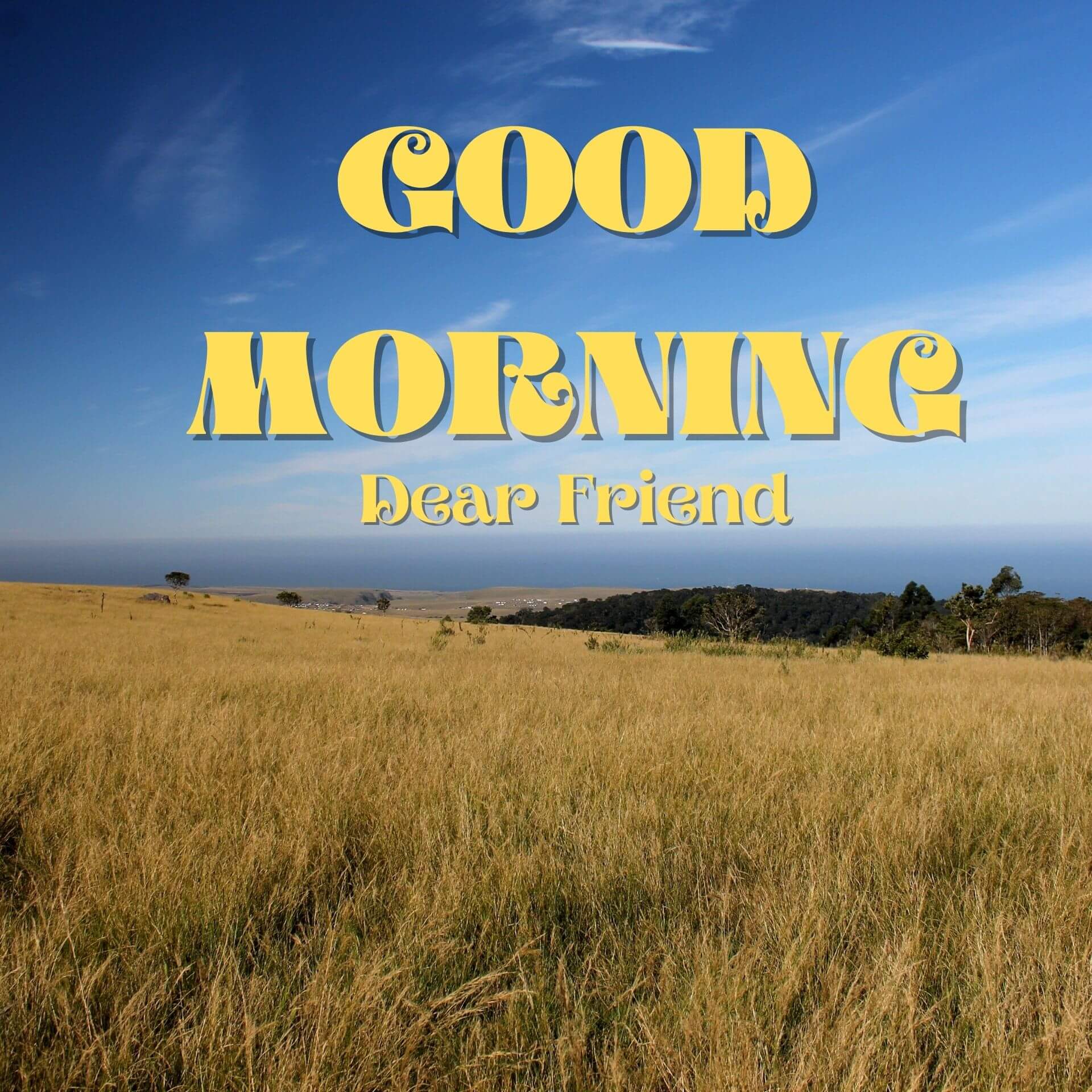 Free Good Morning 1080p Pics images
