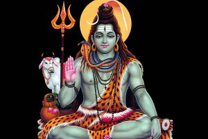 Free HD Lord Shiva Wallpaper Pics Download