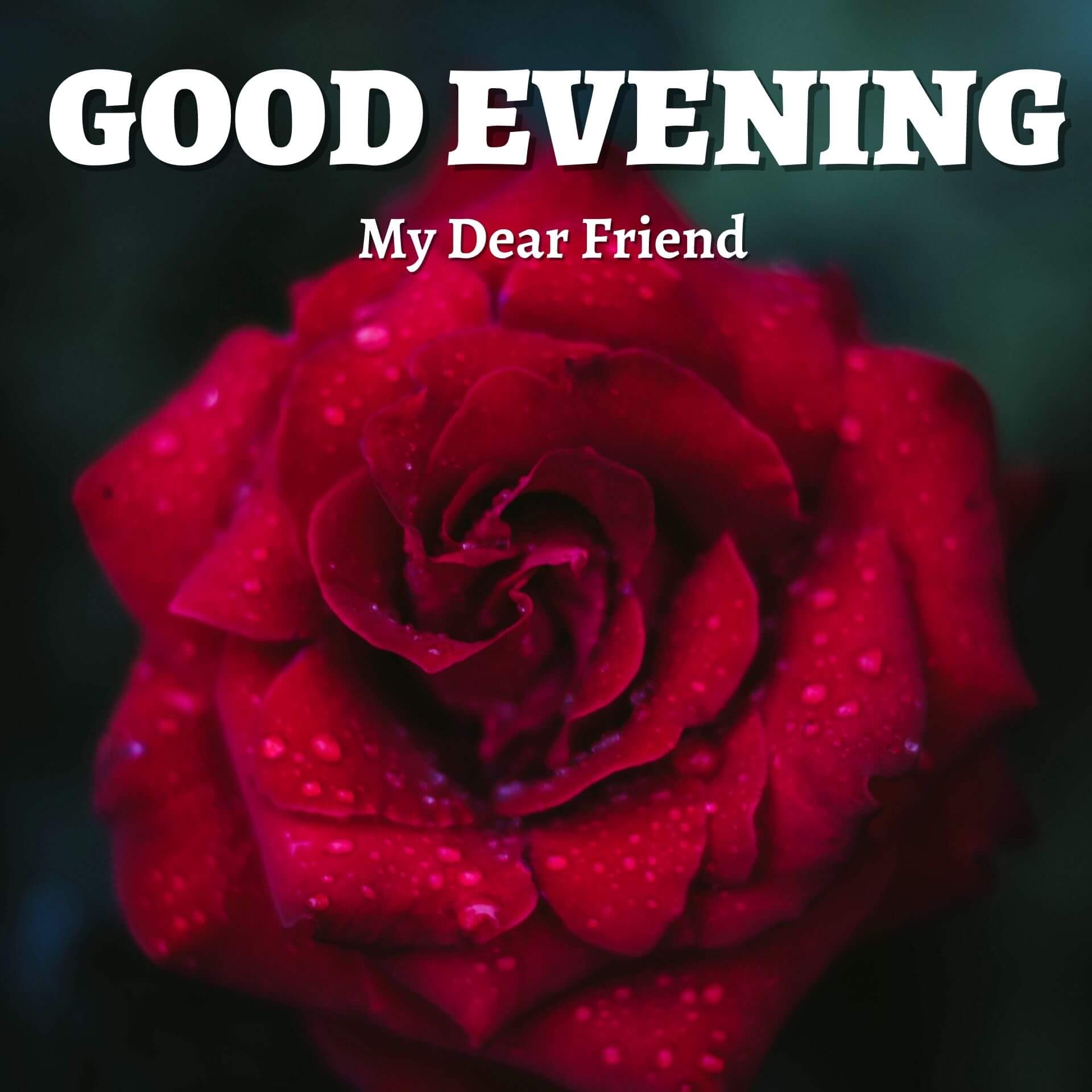 Free HD Romantic Good Evening Pics Wallpaper Download 2023
