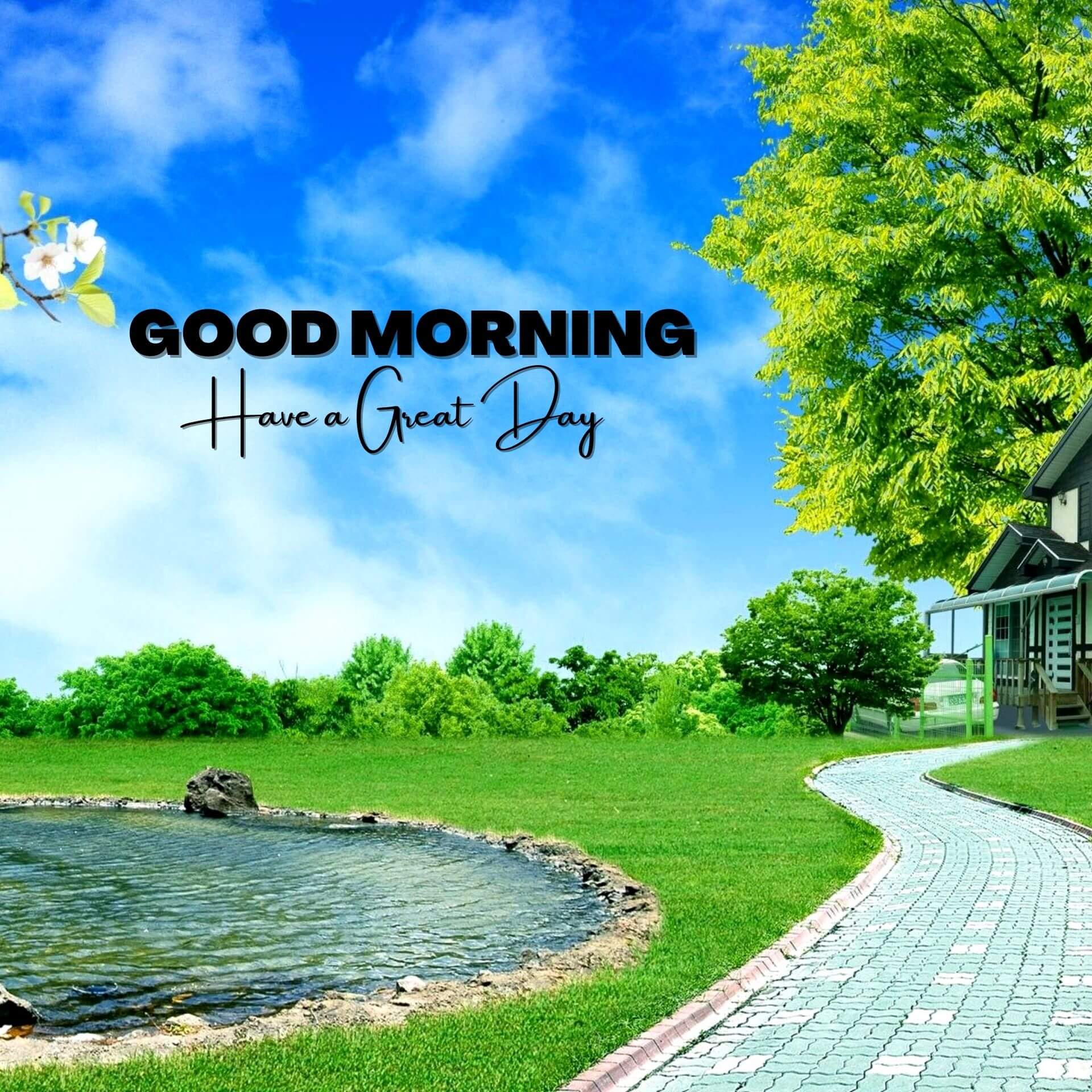 1158+ Free Nature Good Morning Wallpaper HD Download