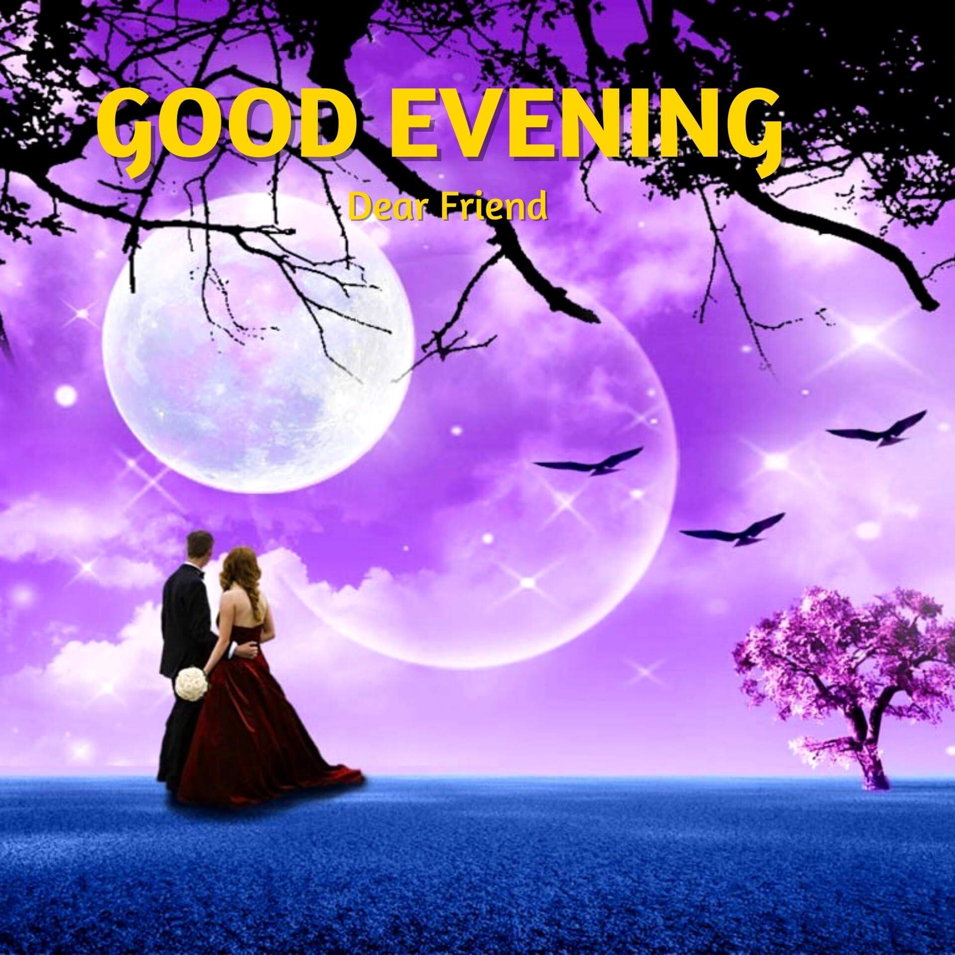 483+ Good Evening Love Images Pics Wallpaper HD Download