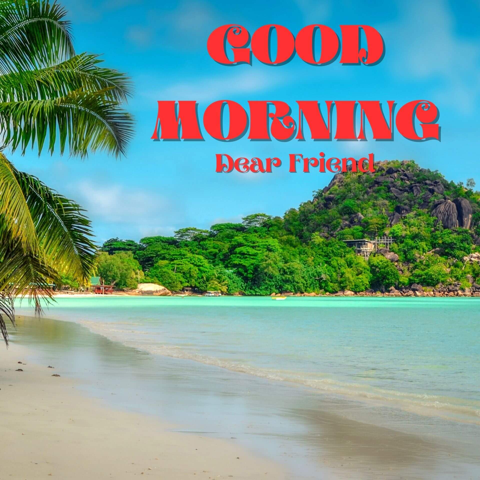 Good Morning 1080p Pics Pictures Download 6