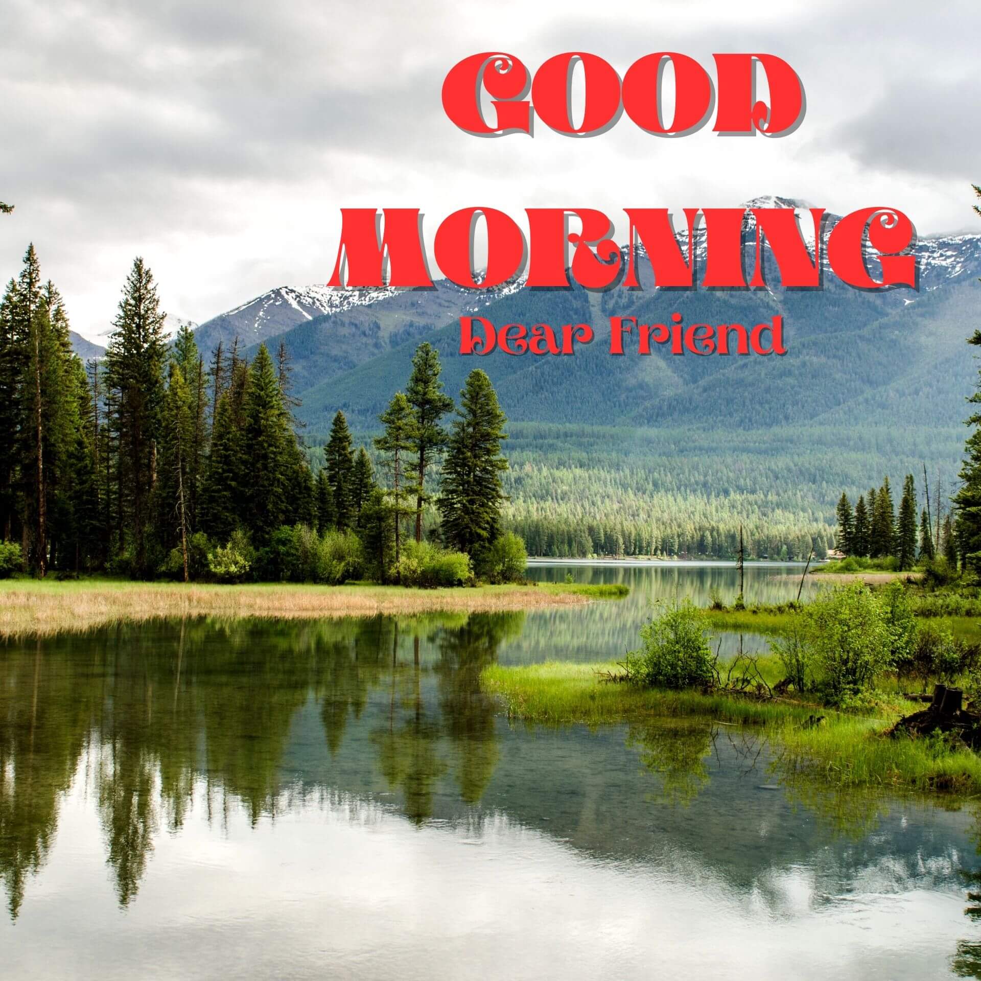 Good Morning 1080p Pics images Download 2023