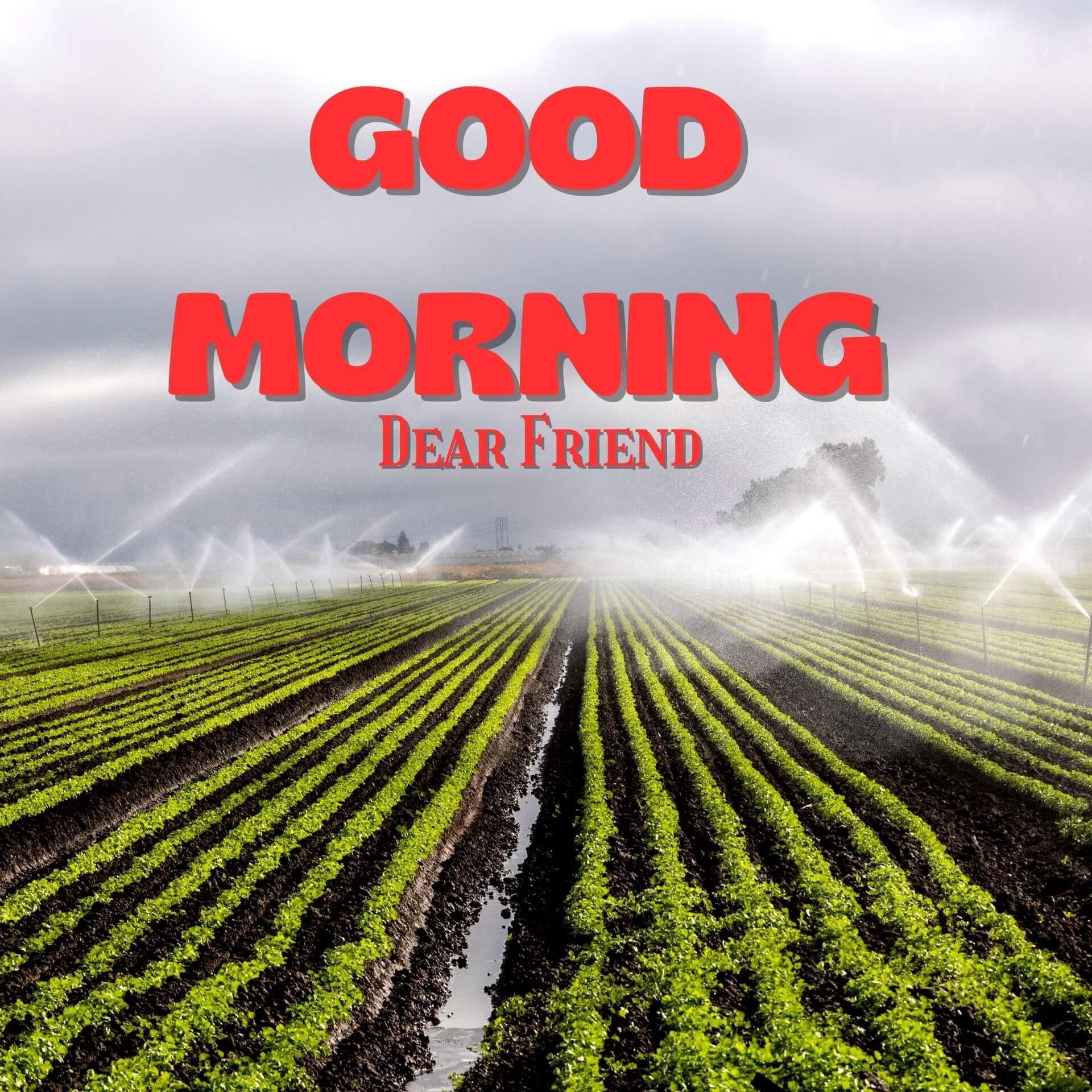 Good Morning 1080p Pics pictures Download 3