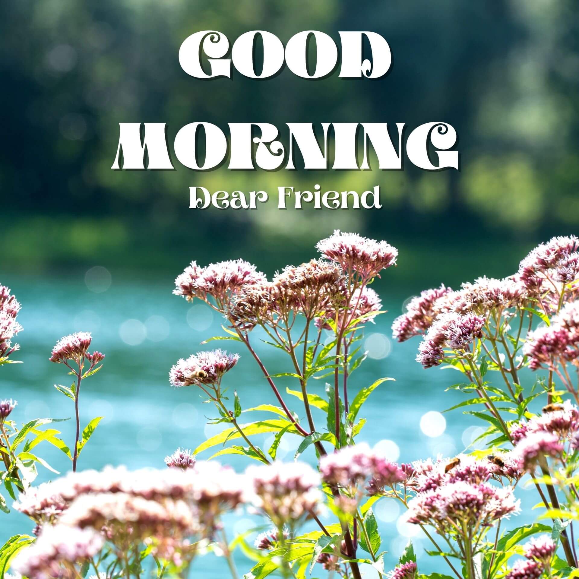 Good Morning Images HD 1080p Download 2023 Free