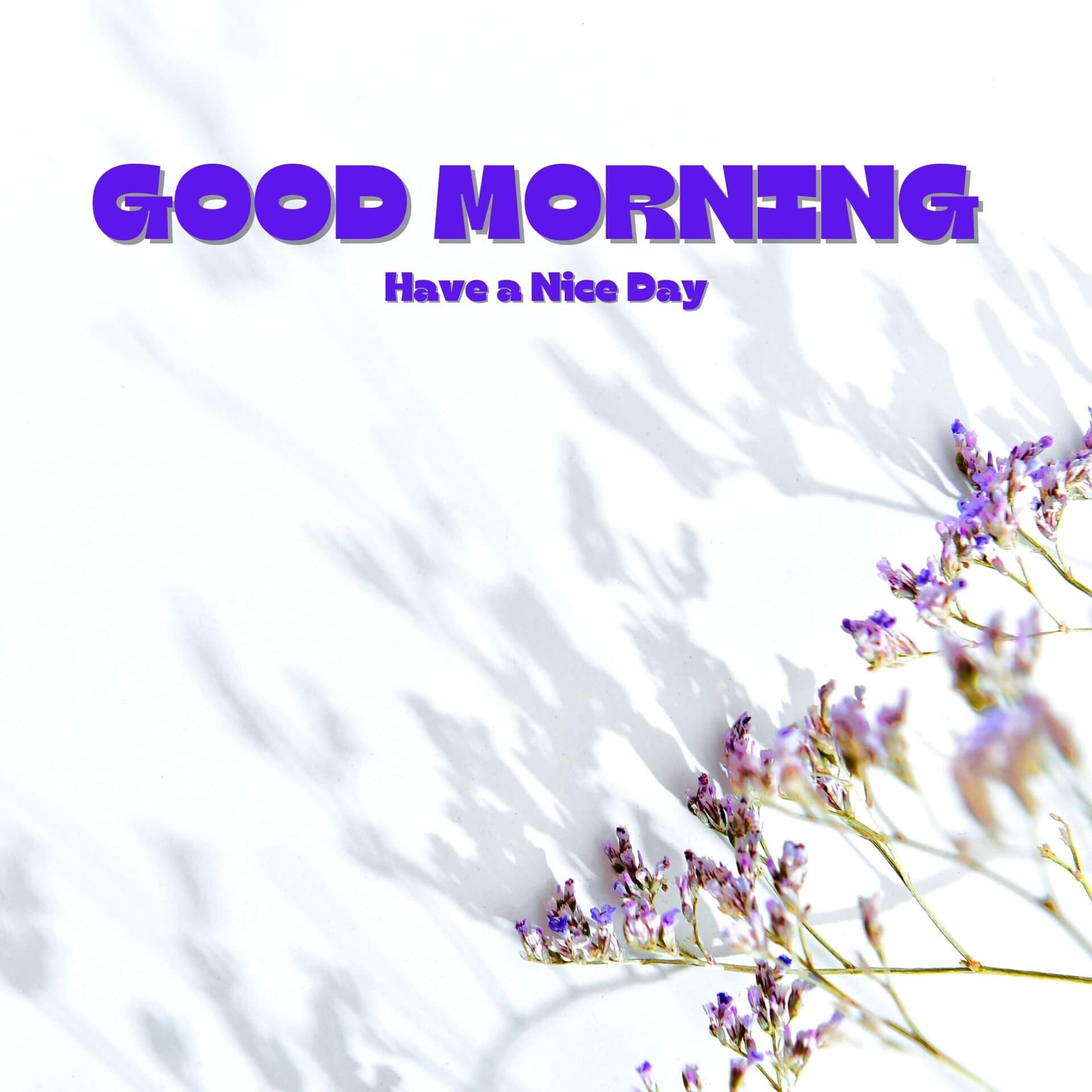 Good Morning 4k Pics Pictures HD