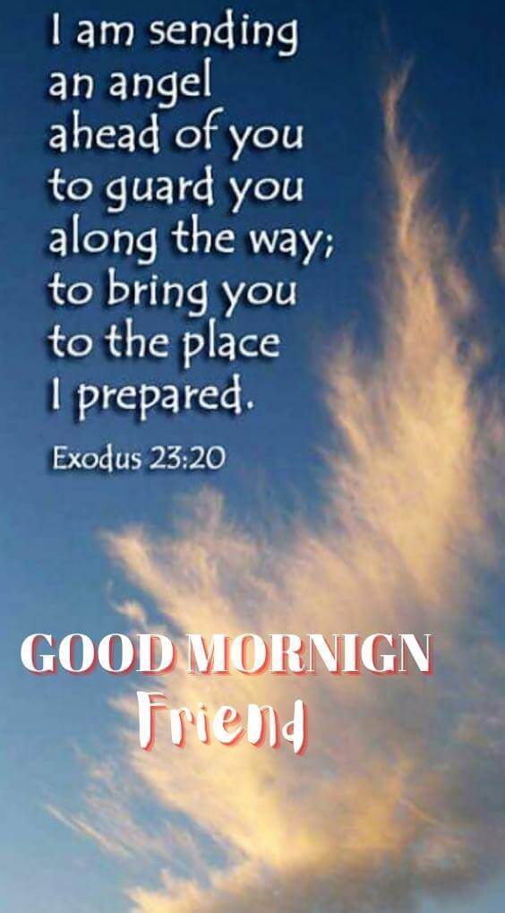 Good Morning Bible Quotes Pics Walpaper Download