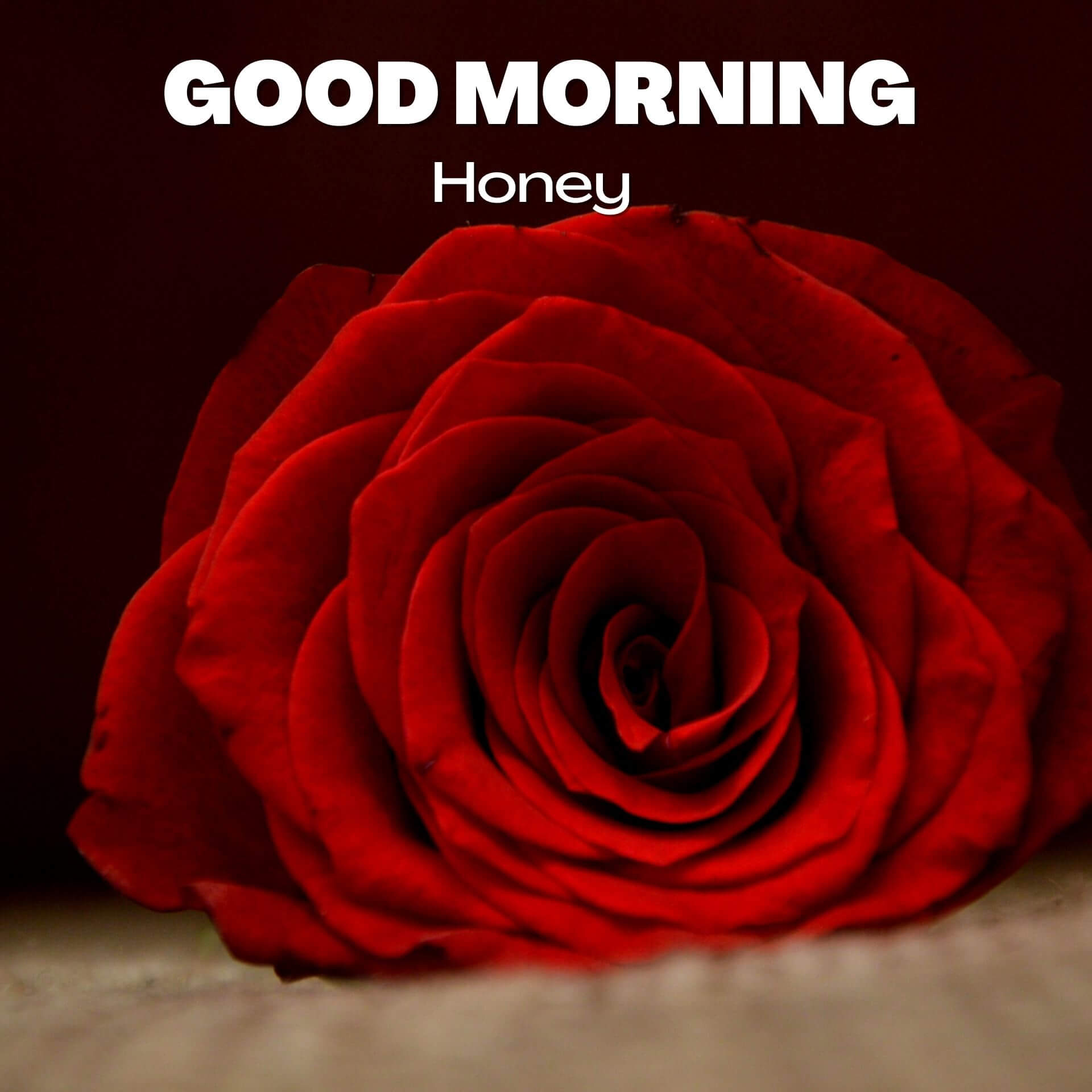 Good Morning Honey Wallpaper Images With Red Rose