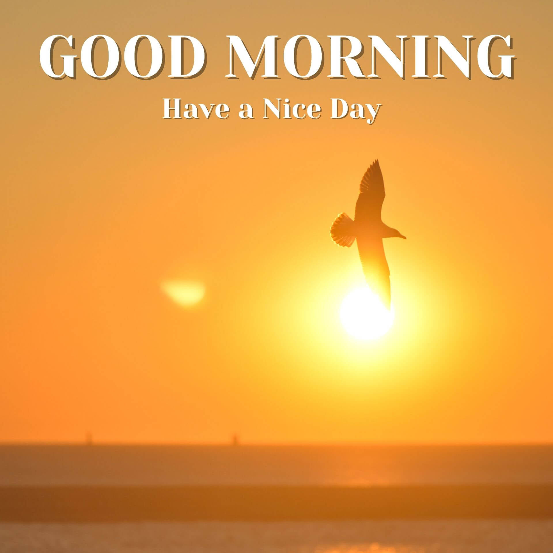 Good Morning Pics Pictures Download