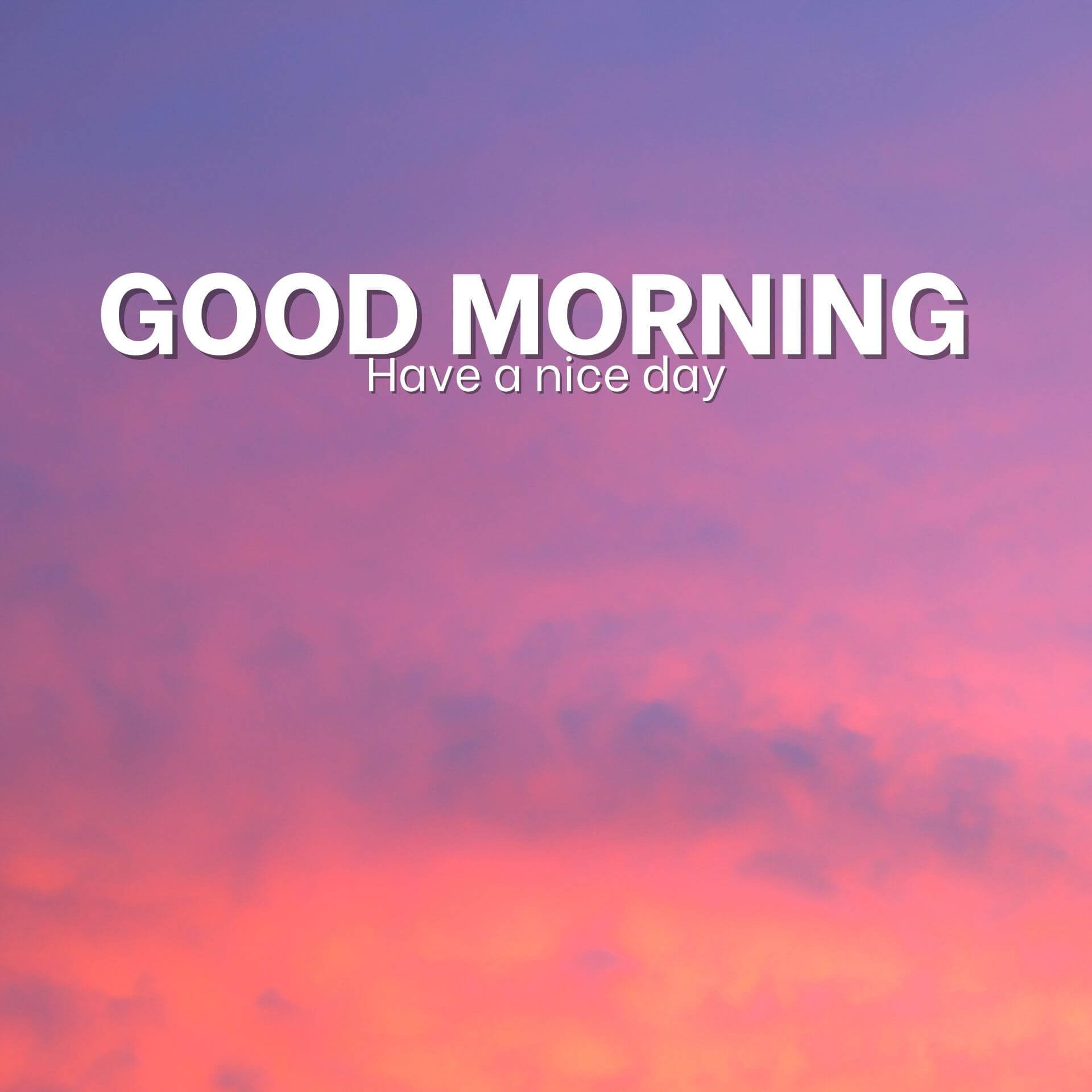Good morning have a nice day Photo Free Download