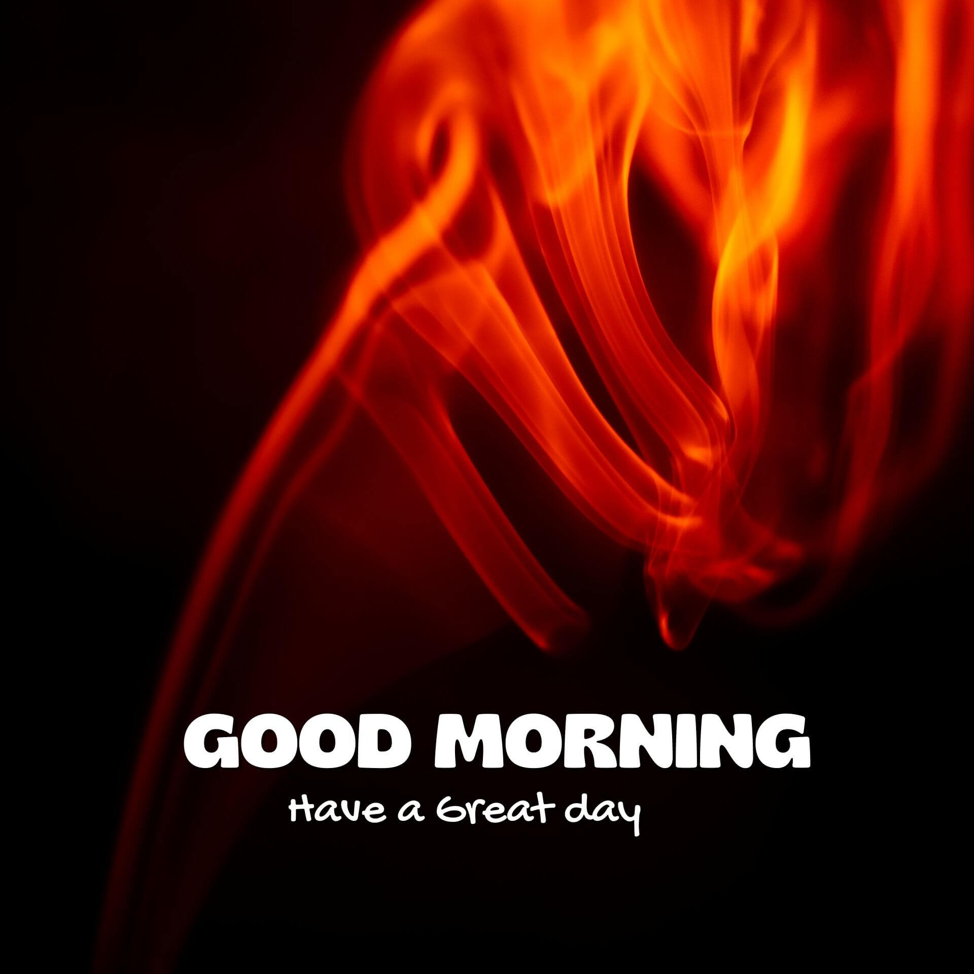 Good morning have a nice day Wallpaper Download for Facebook