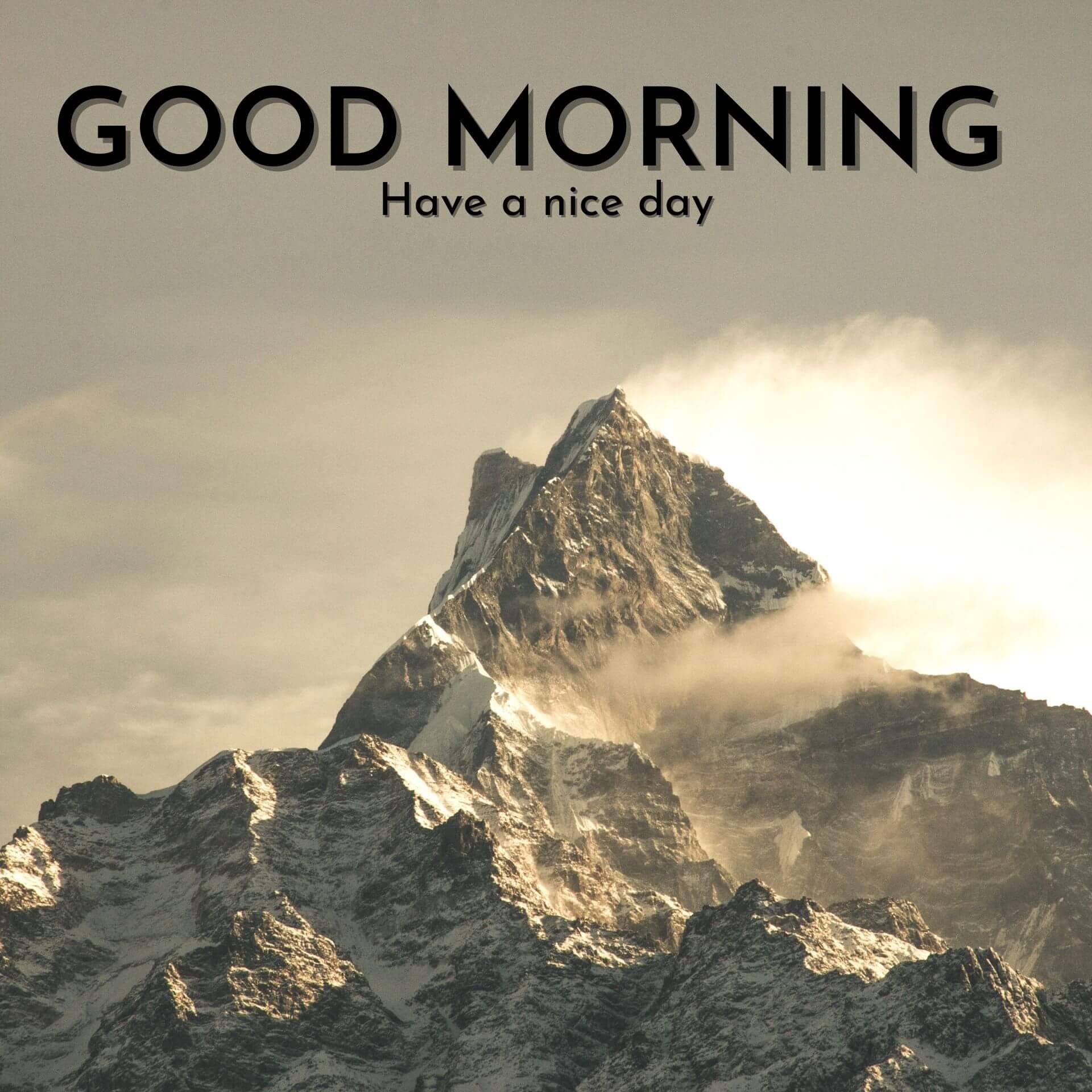 Good morning have a nice day Wallpaper Download