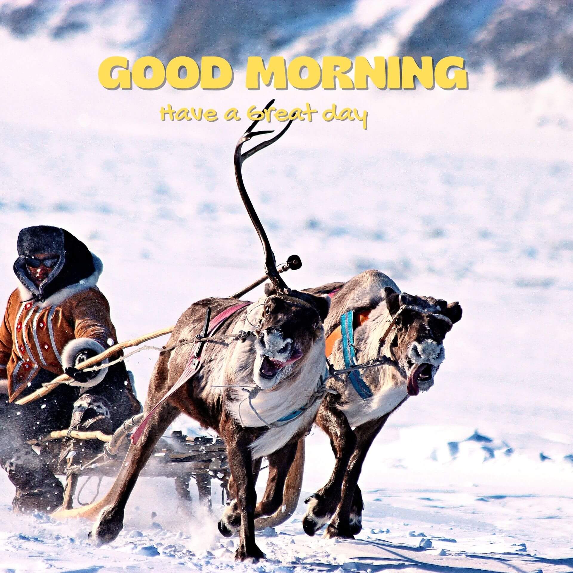 Good morning have a nice day Wallpaper Free Download 2023