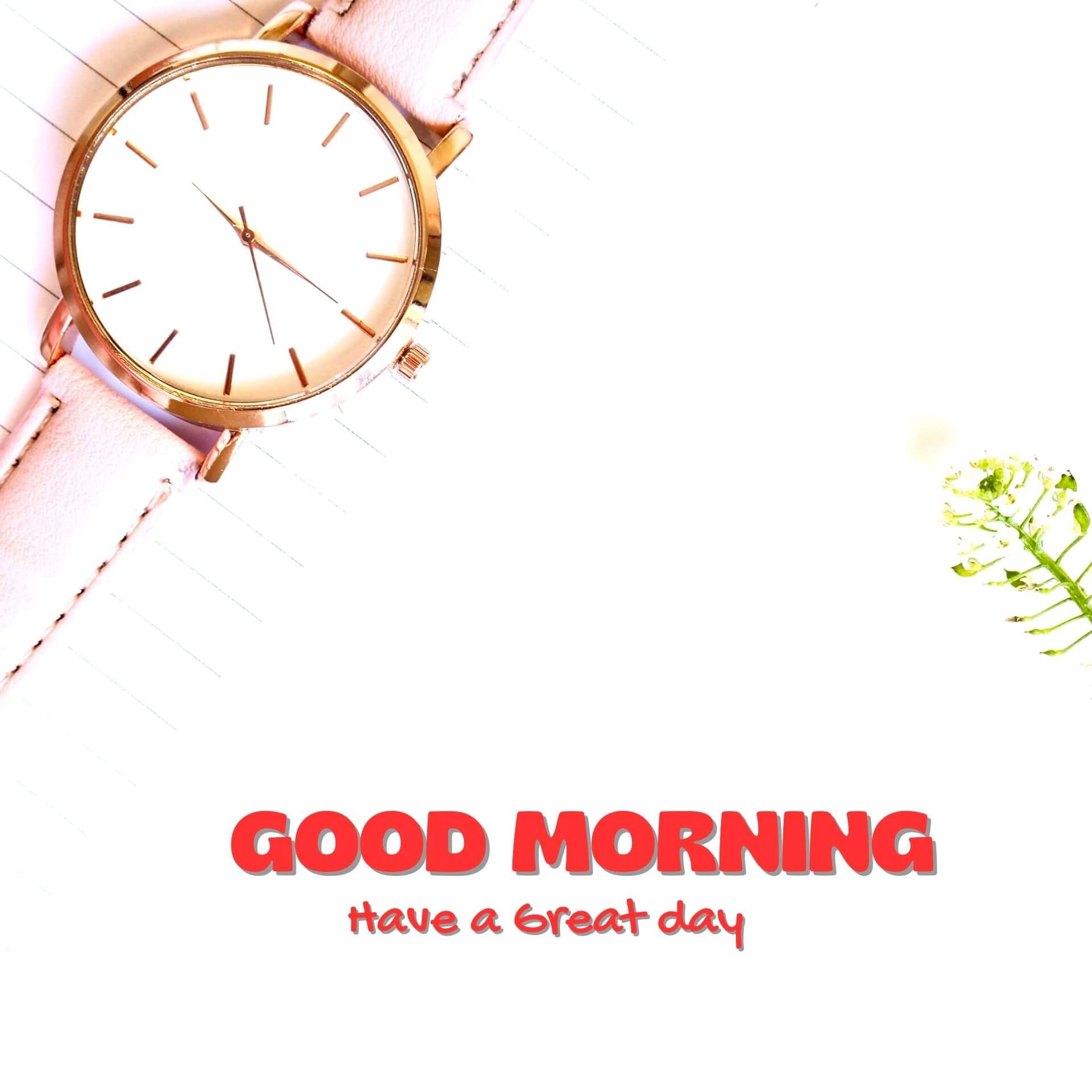 Good morning have a nice day Wallpaper Images HD Download