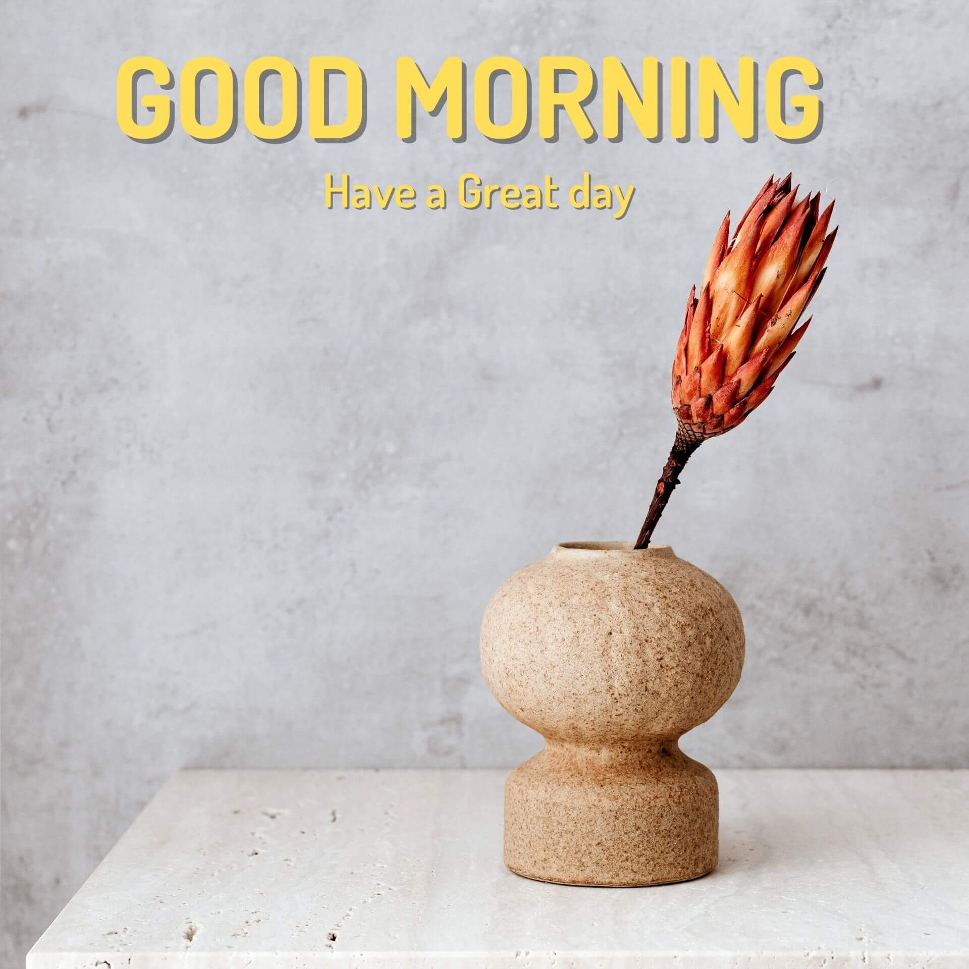 Good morning have a nice day Wallpaper New Download 2023