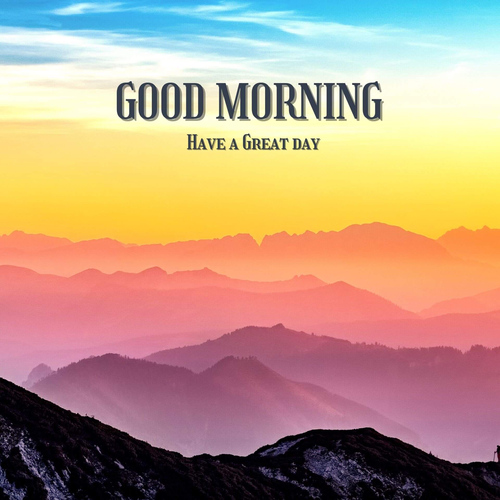 Good morning have a nice day Wallpaper Pics Download for Whatsapp