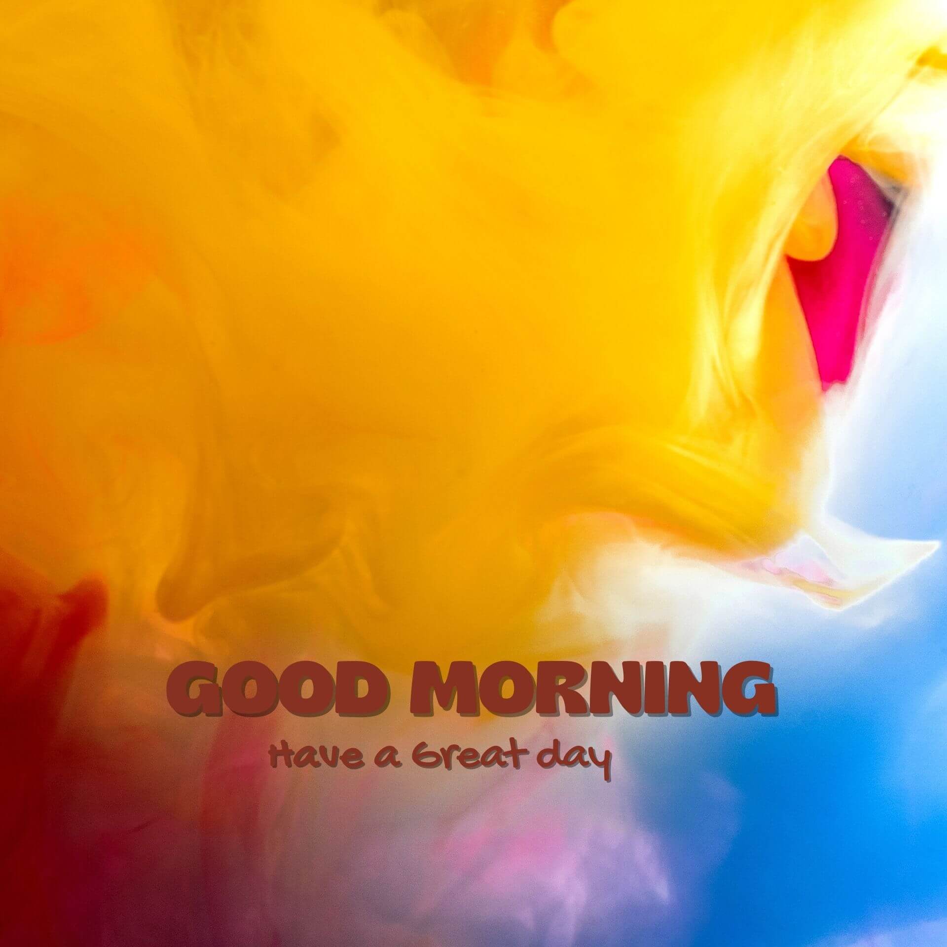 Good morning have a nice day Wallpaper pics New Download 2