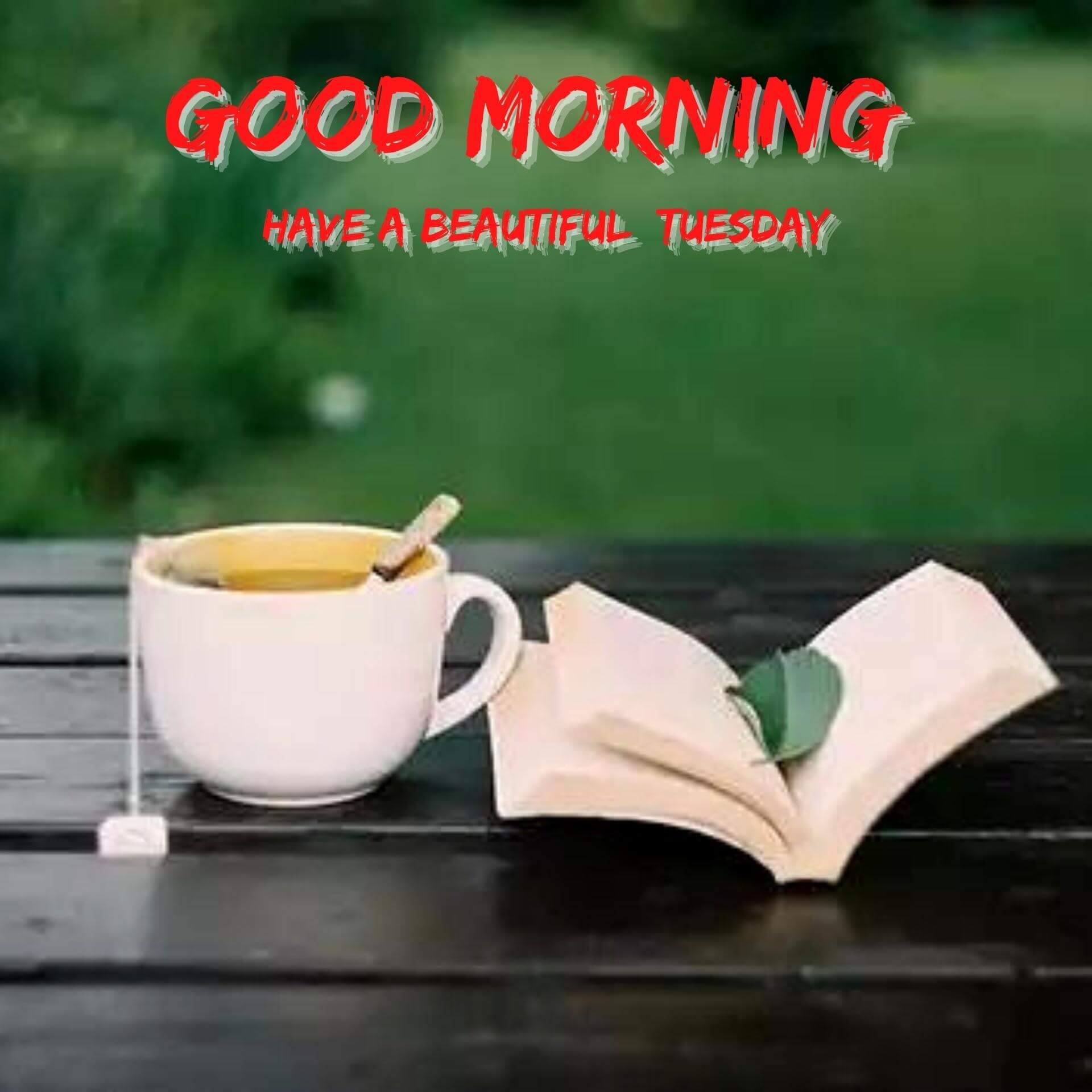 HD Tuesday good morning Wallpaper for Best Friend