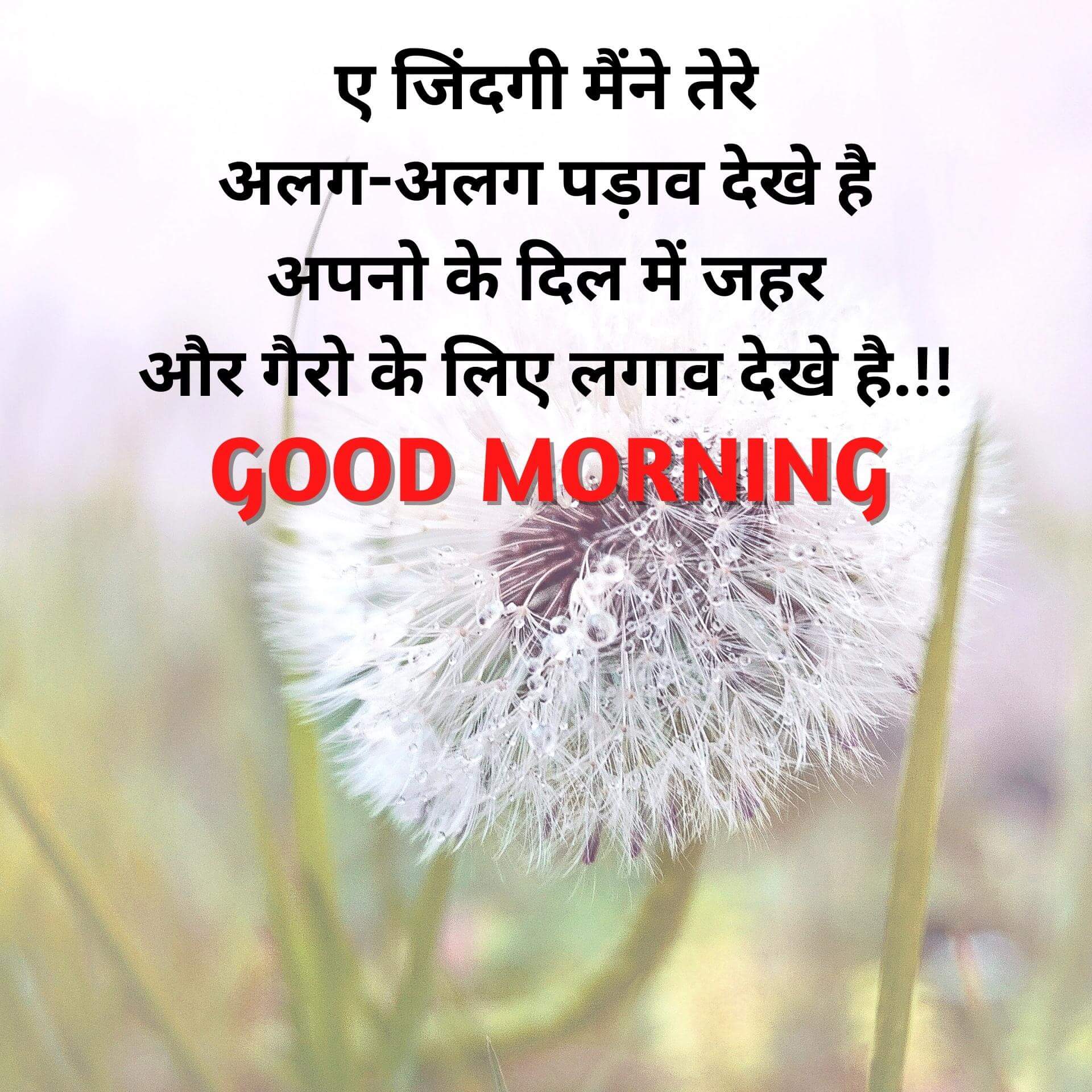 Hindi Quotes Good Morning Wishes