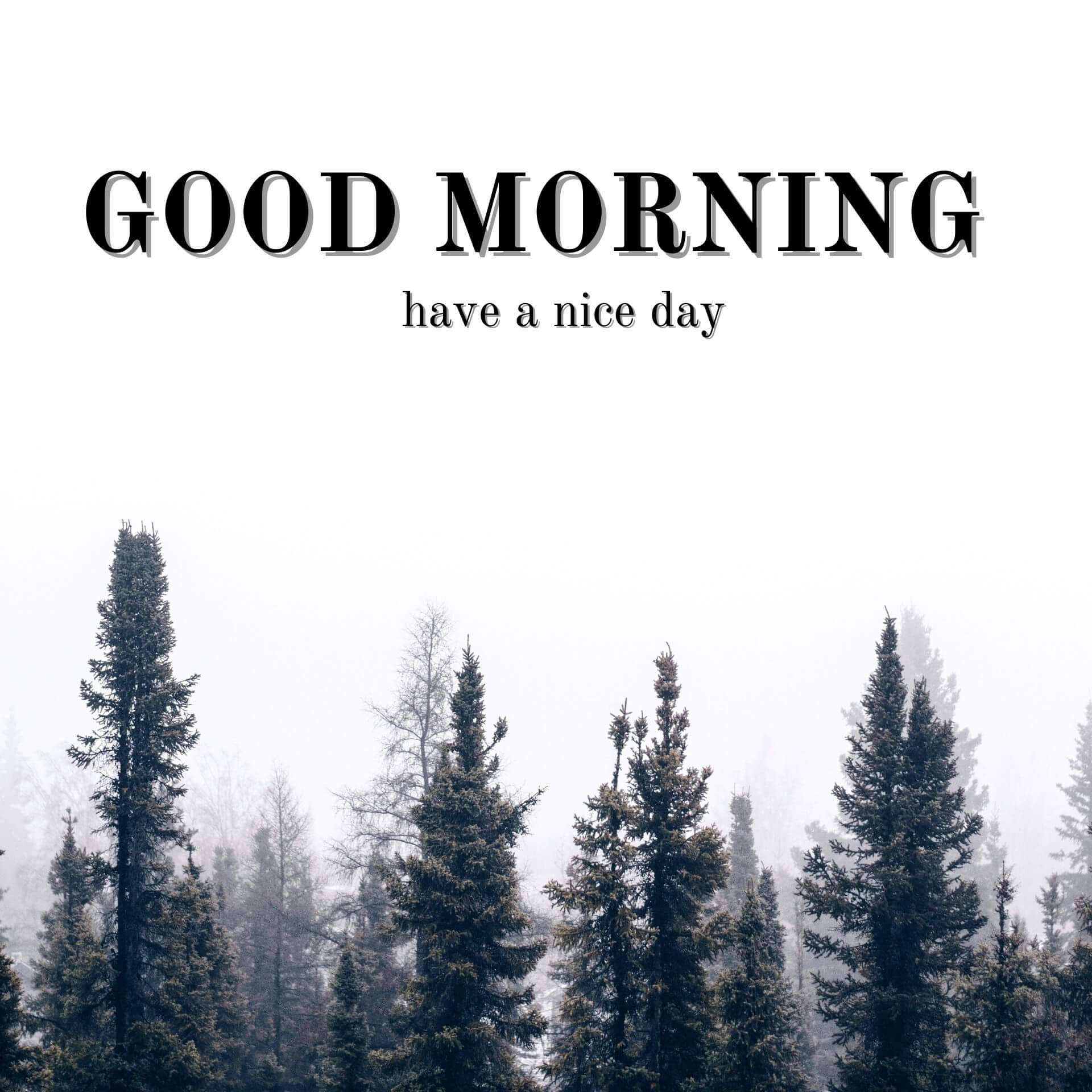 Nature Good Morning Pics Wallpaper Download 3