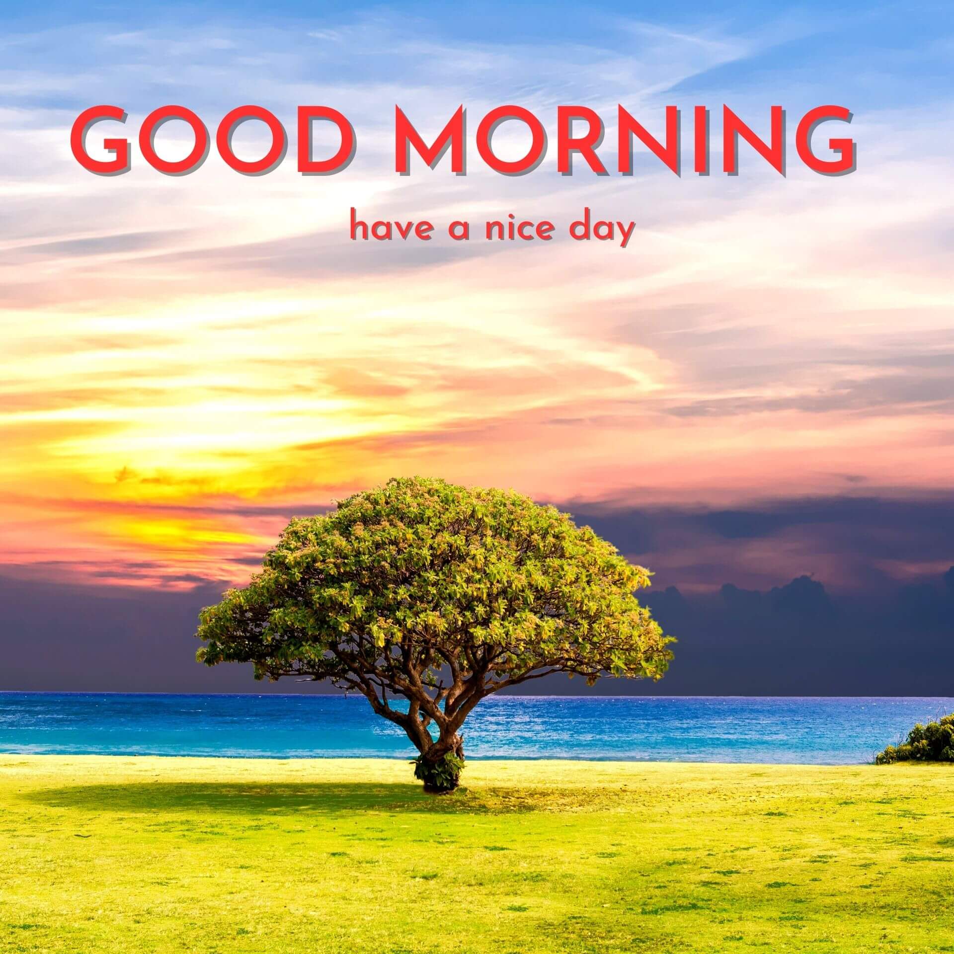 Nature Good Morning Pics Wallpaper Download