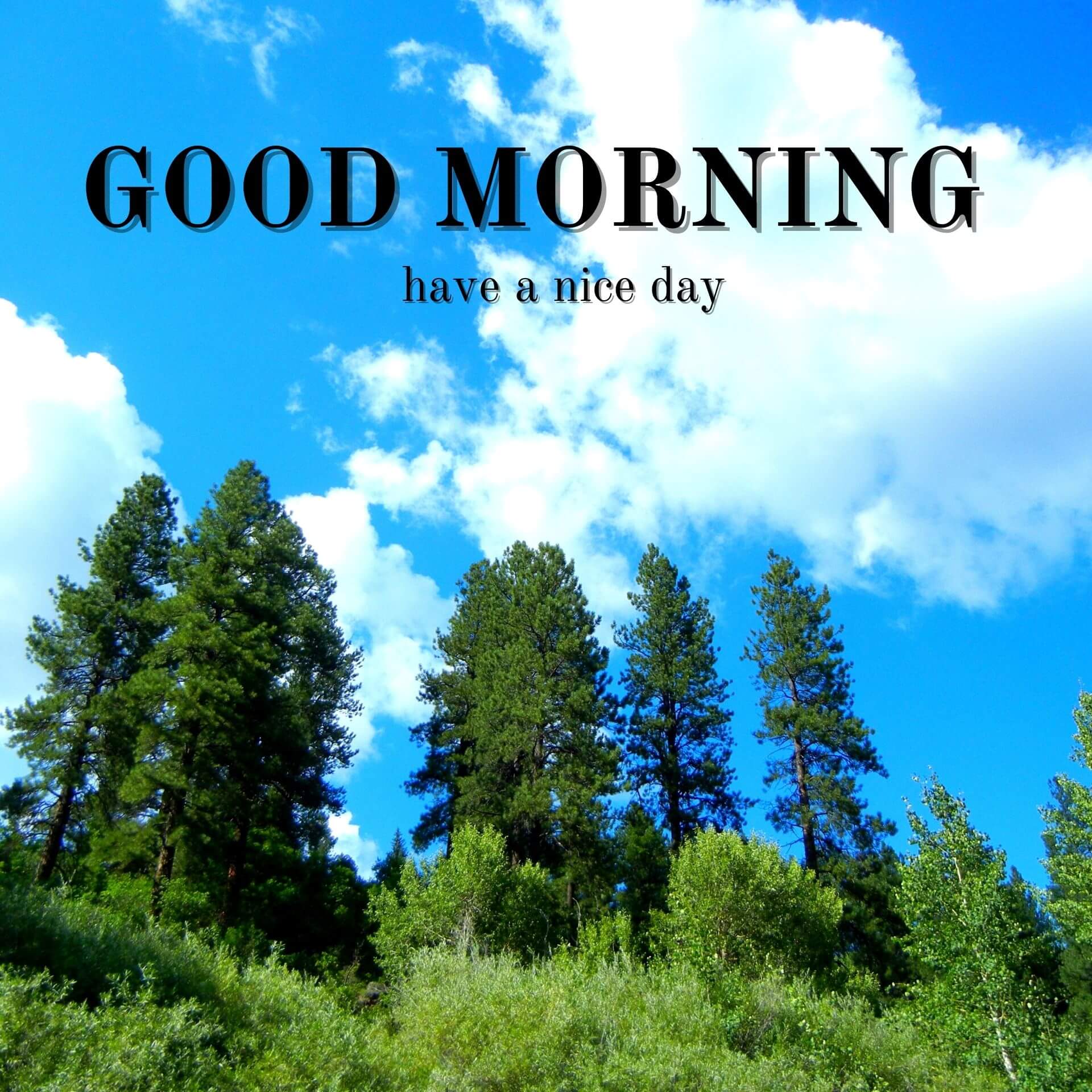 Nature Good Morning Wallpaper for Facebook 3