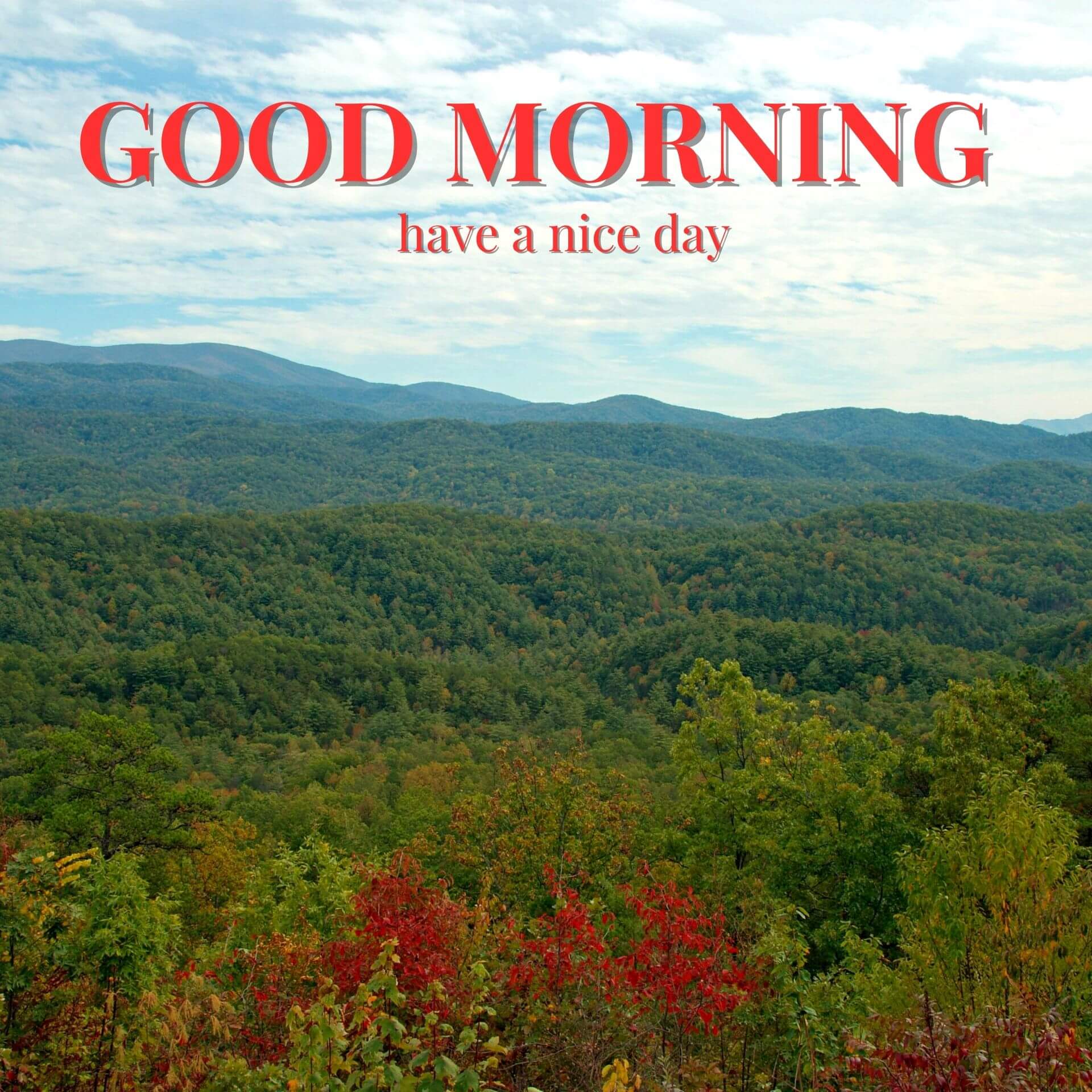 Nature Good Morning photo HD Download 2023