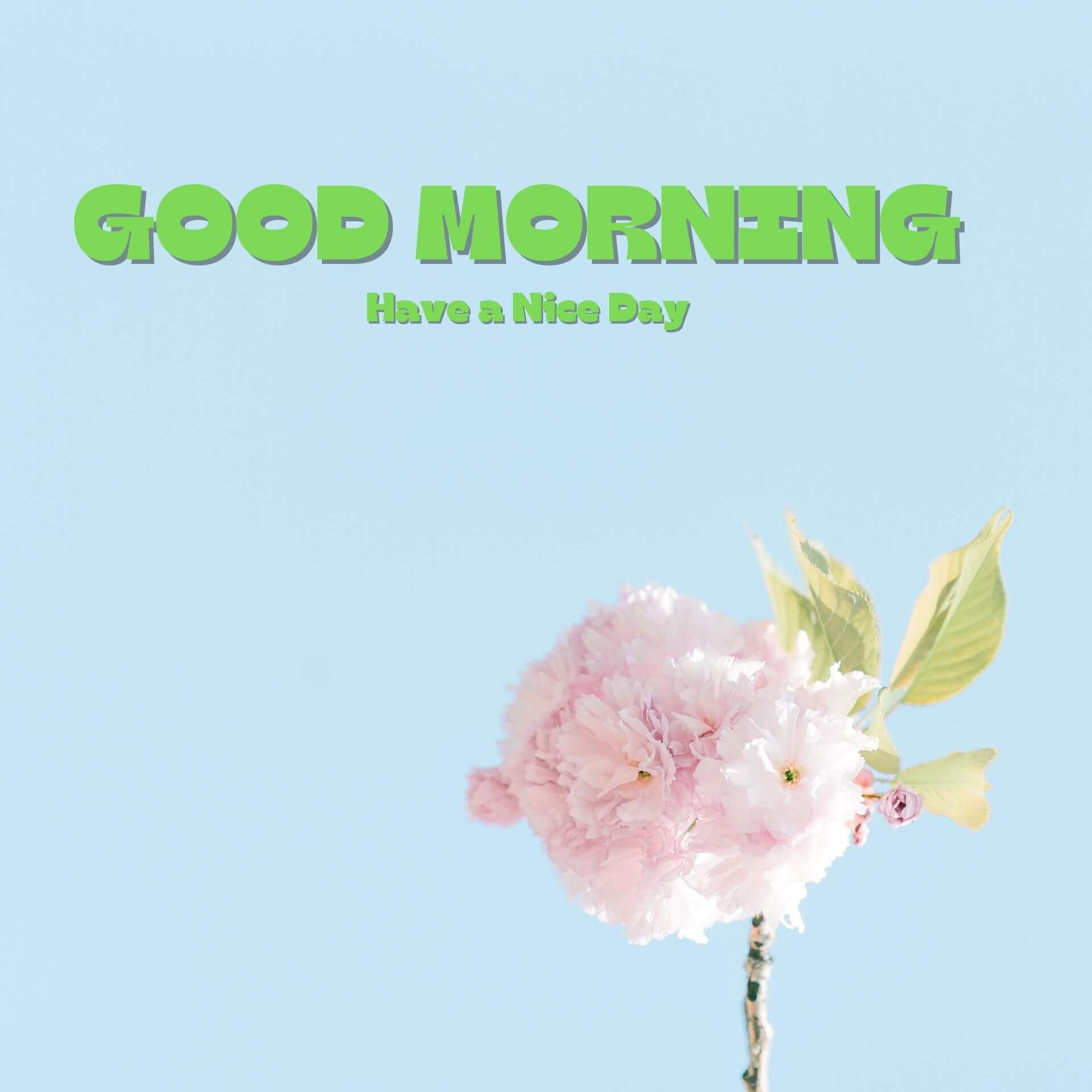 New HD Good Morning 4k Wallpaper Download