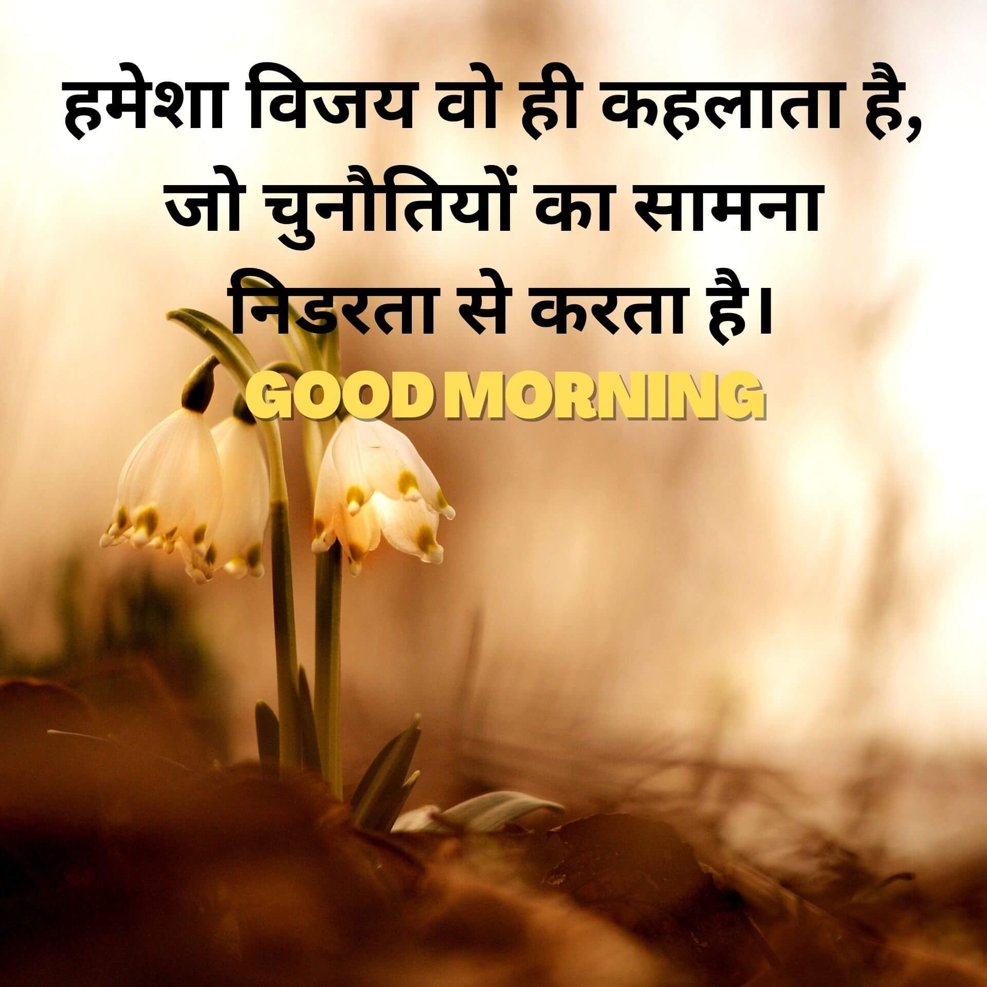 Quotes Hindi Good Morning Photo Download