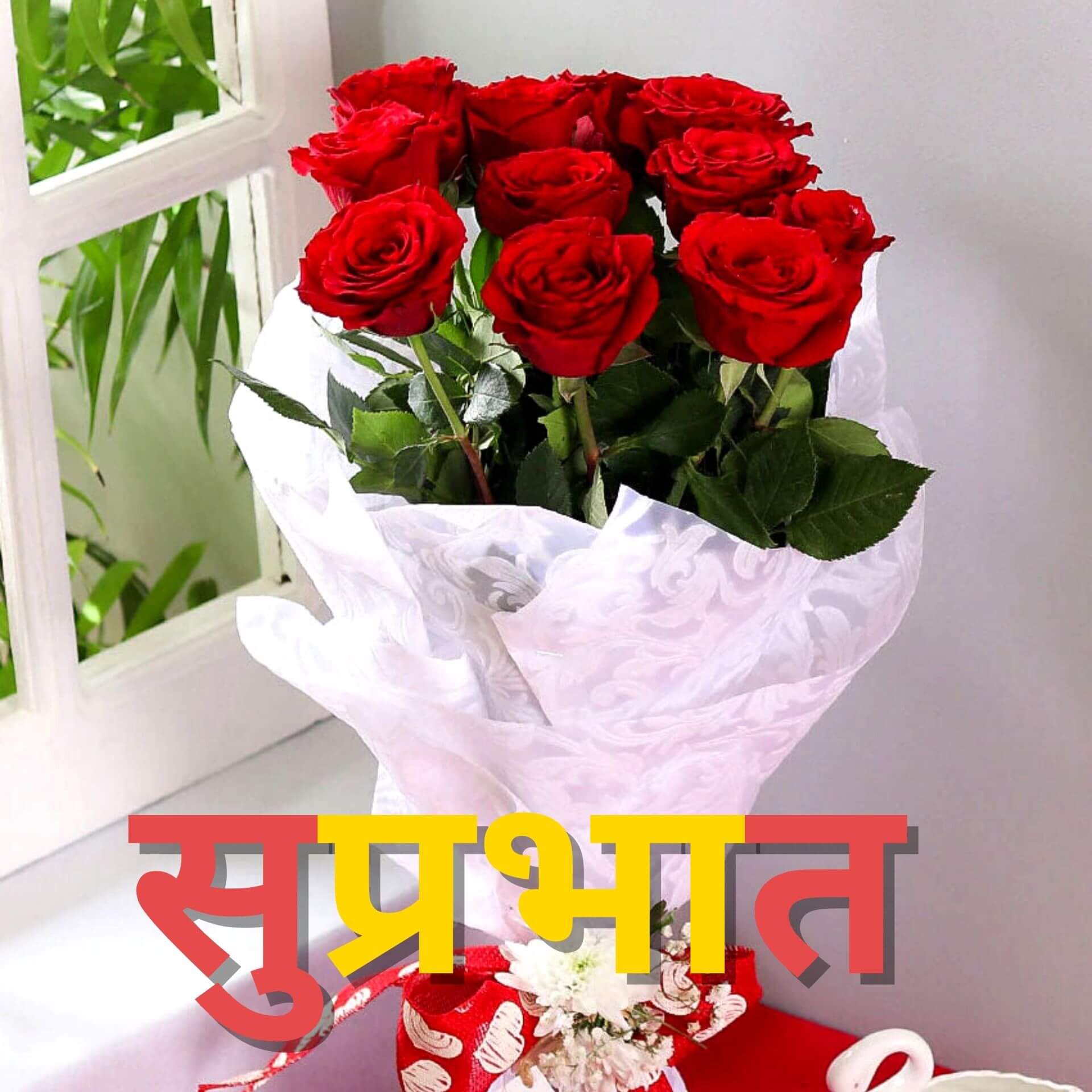 Red Rose Suprabhat Images for Whatsapp