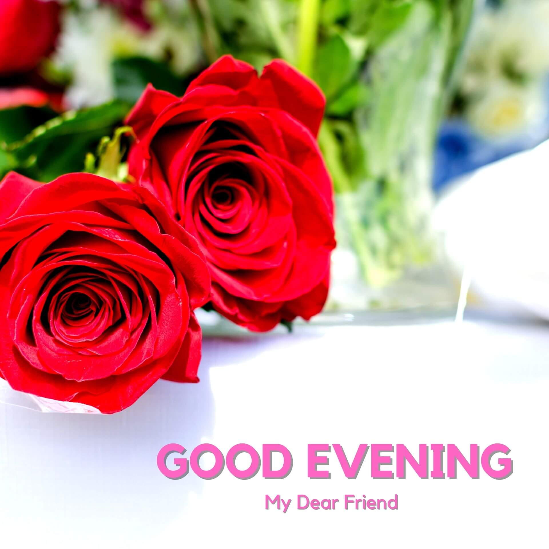 Romantic Good Evening Wallpaper Pics With Rose