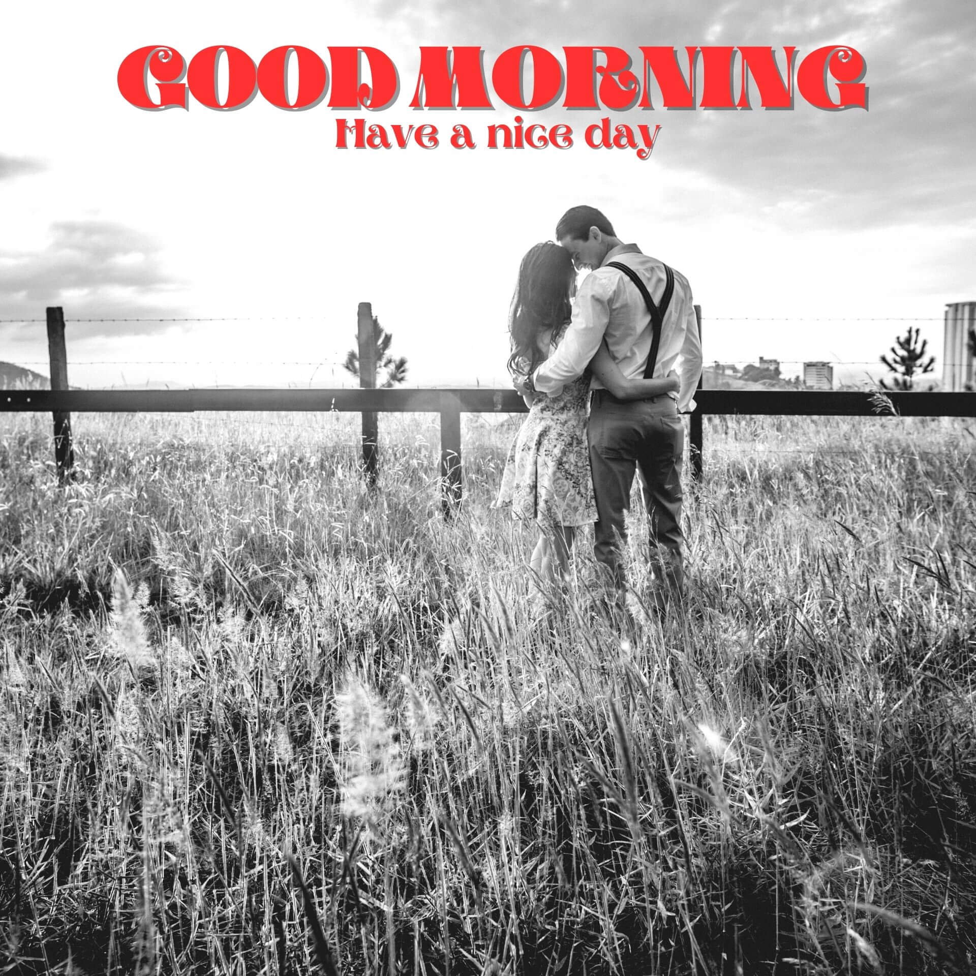 Romantic Good Morning Pics Wallpaper Download