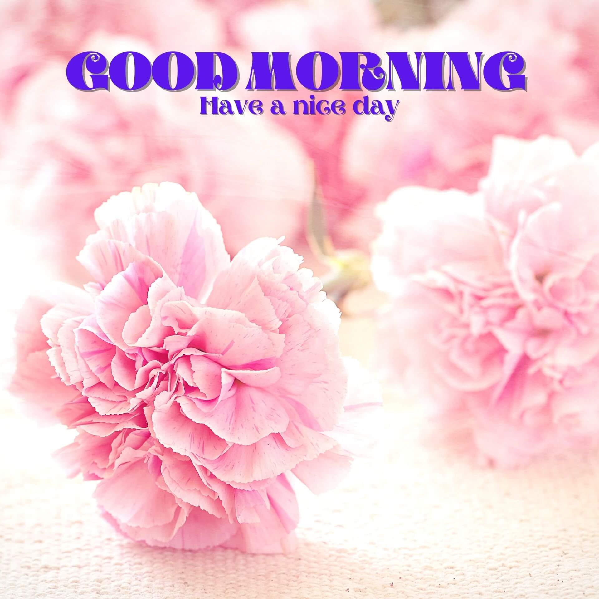 Romantic Good Morning Wallpaper Free Download 1