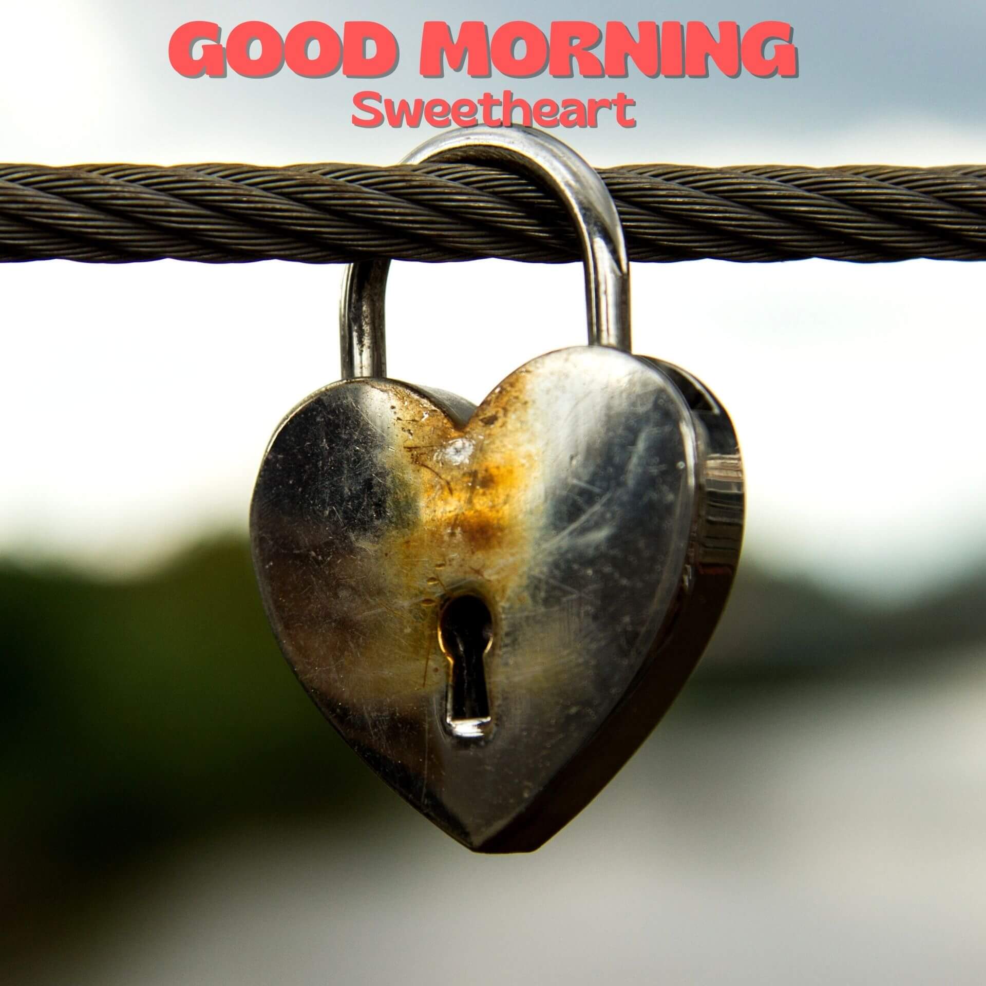 Romantic Good Morning Wallpaper Free Download 3